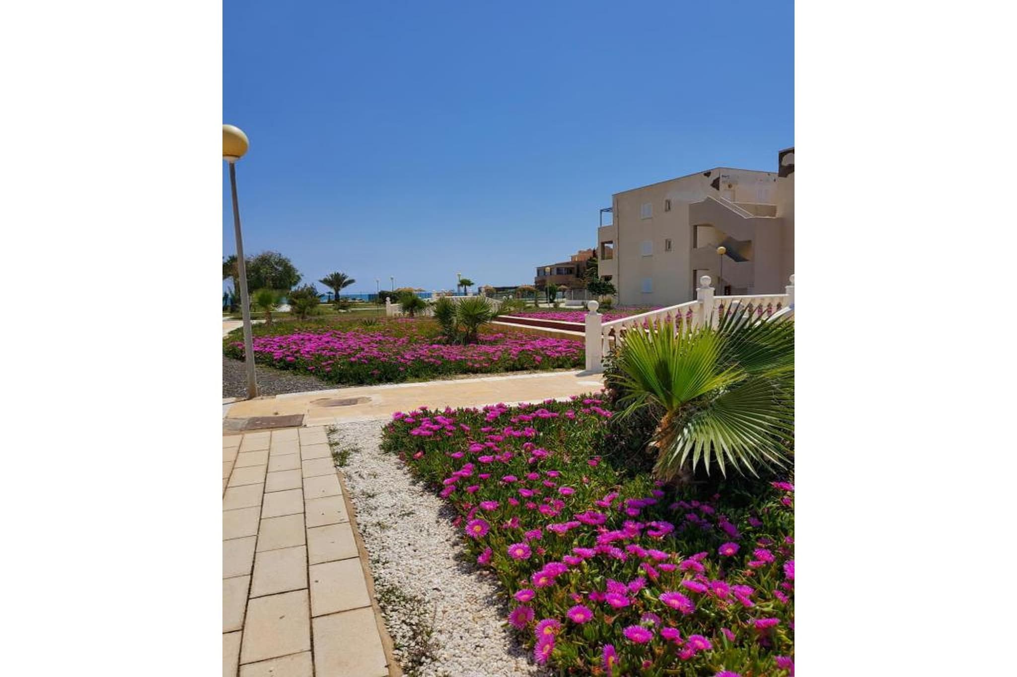 CT 371 AL - Faro's Veraplaya Naturista Apartment-Garten Sommer