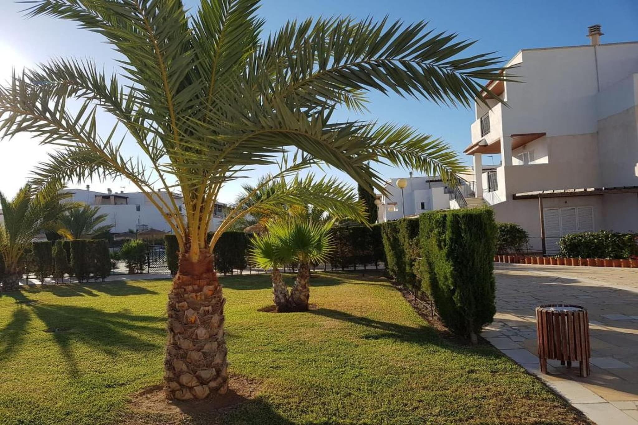 CT 384 AL - Faro's Vera Playa - Naturaworld Apartment-Gardens in summer