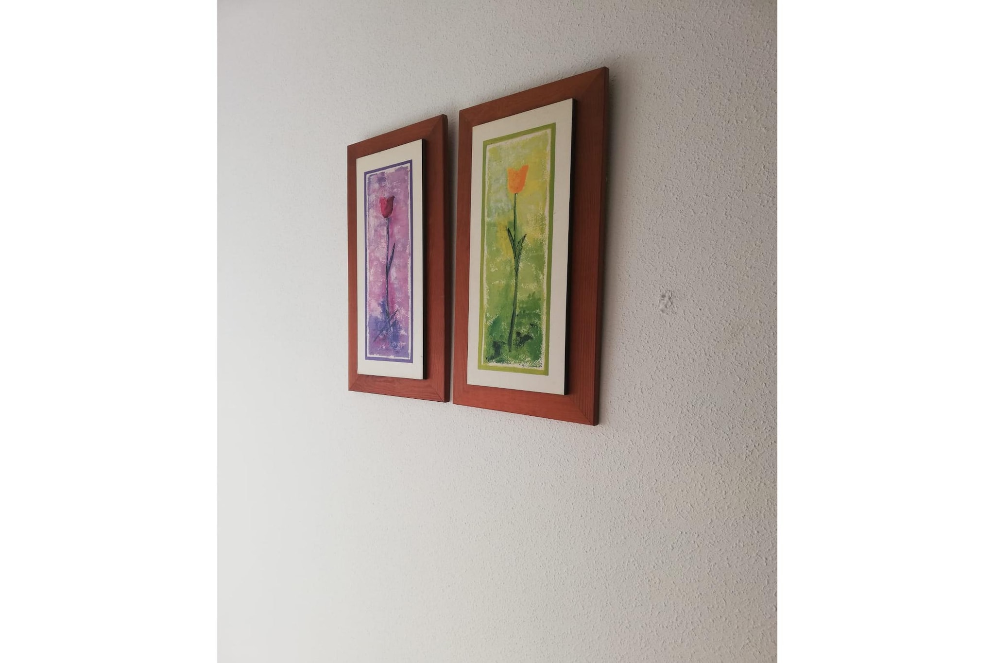 CT 372 AL - Apartamento naturista acogedor - Natura World - Vera Playa-Ambiente