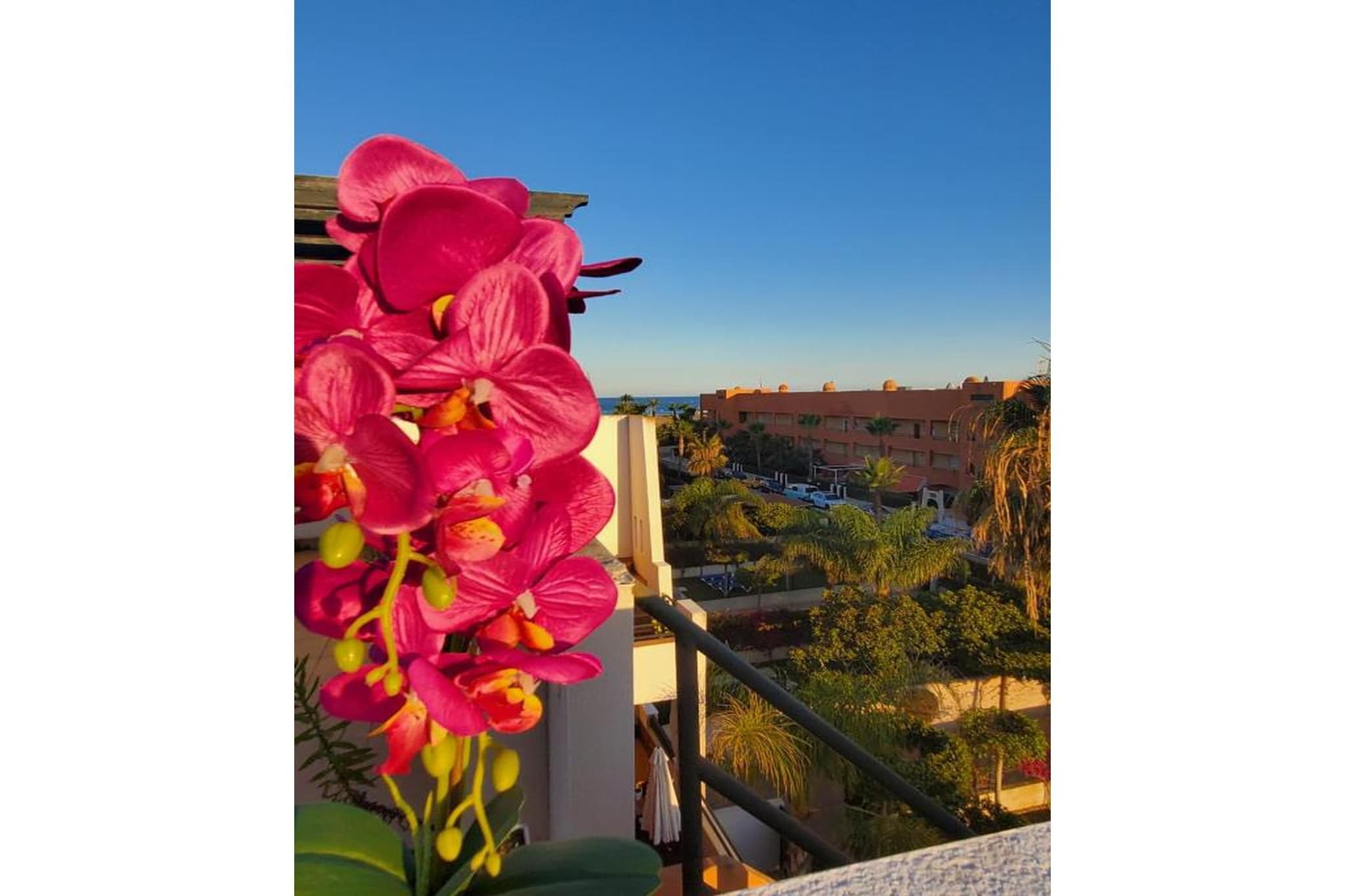 CT 351 AL - Faro's Atico Duplex con piscina privada - Vera Playa-Ambiance