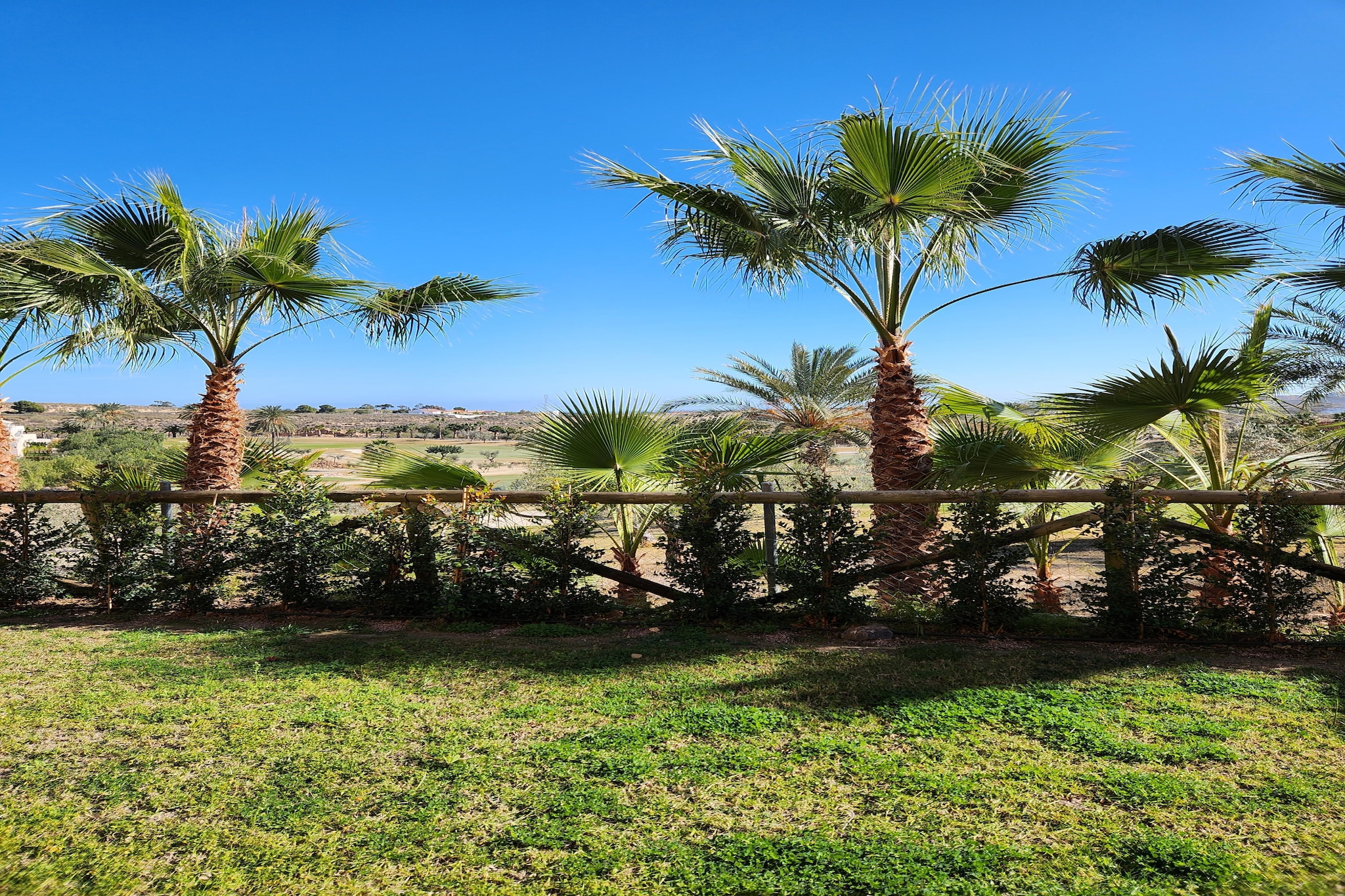 CT 347 AL - Faro's Gardenapartment - Valle del Este-Gardens in summer