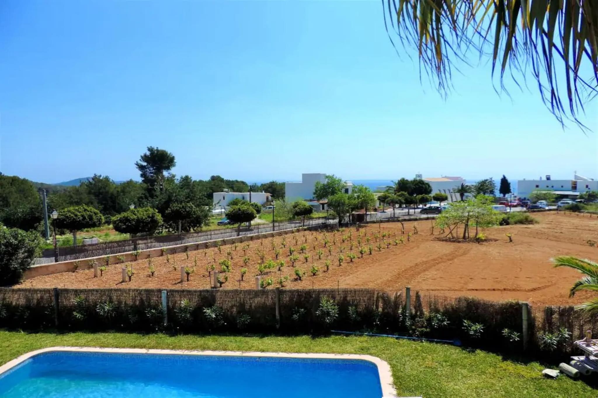 Casa Olivo-Tuinen zomer