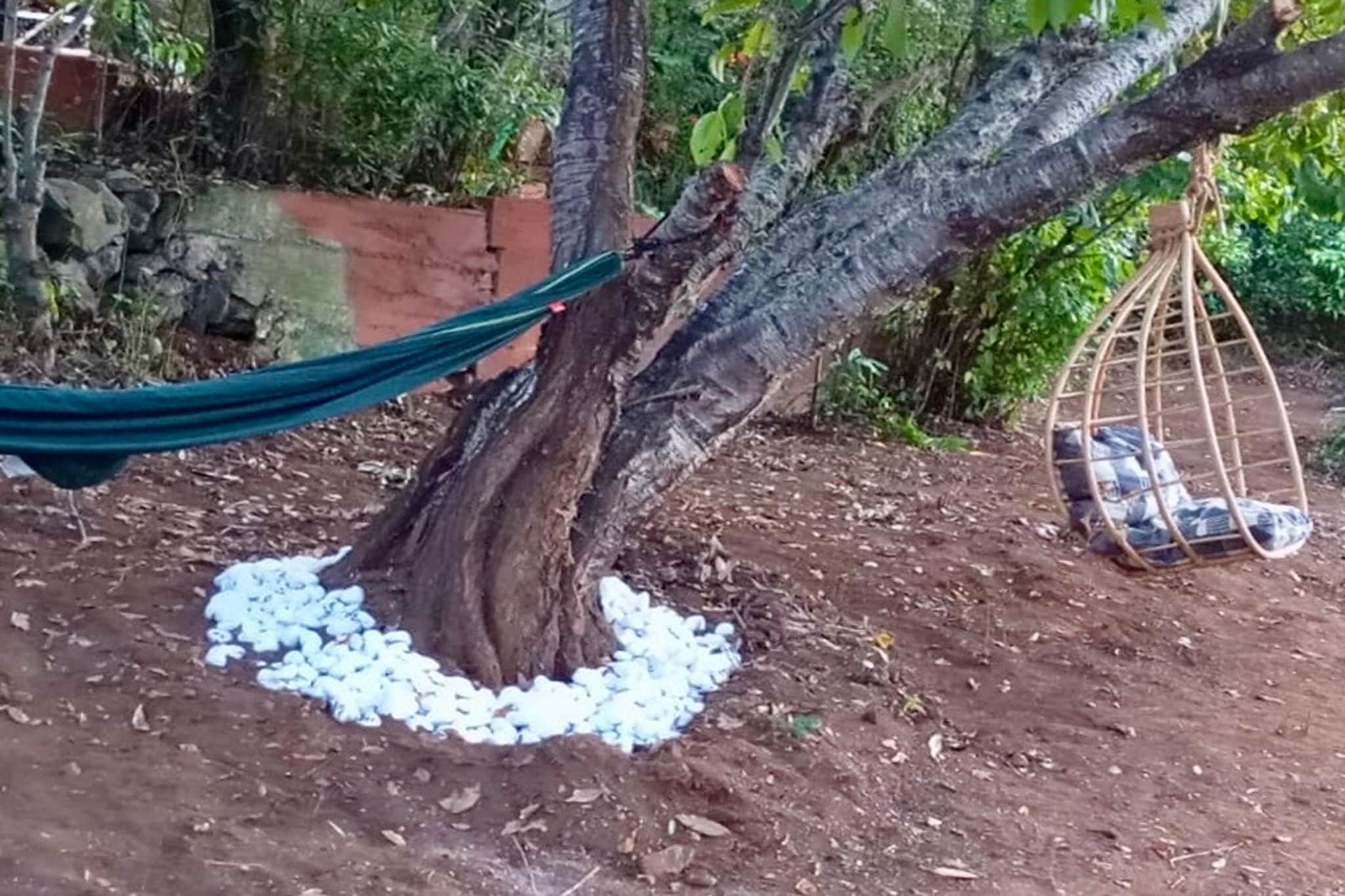 Nueva Finca Relax Mountain-Garten Sommer