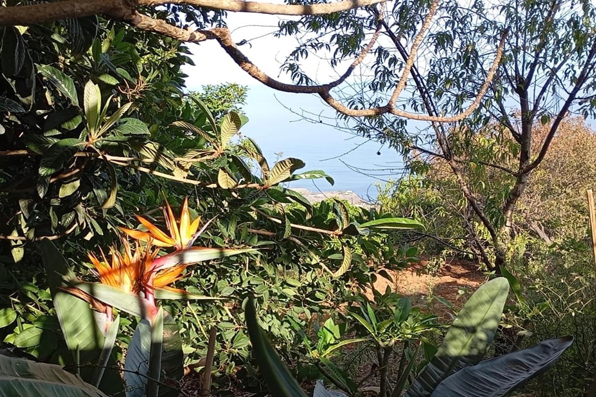 Nueva Finca Relax Mountain-Garten Sommer