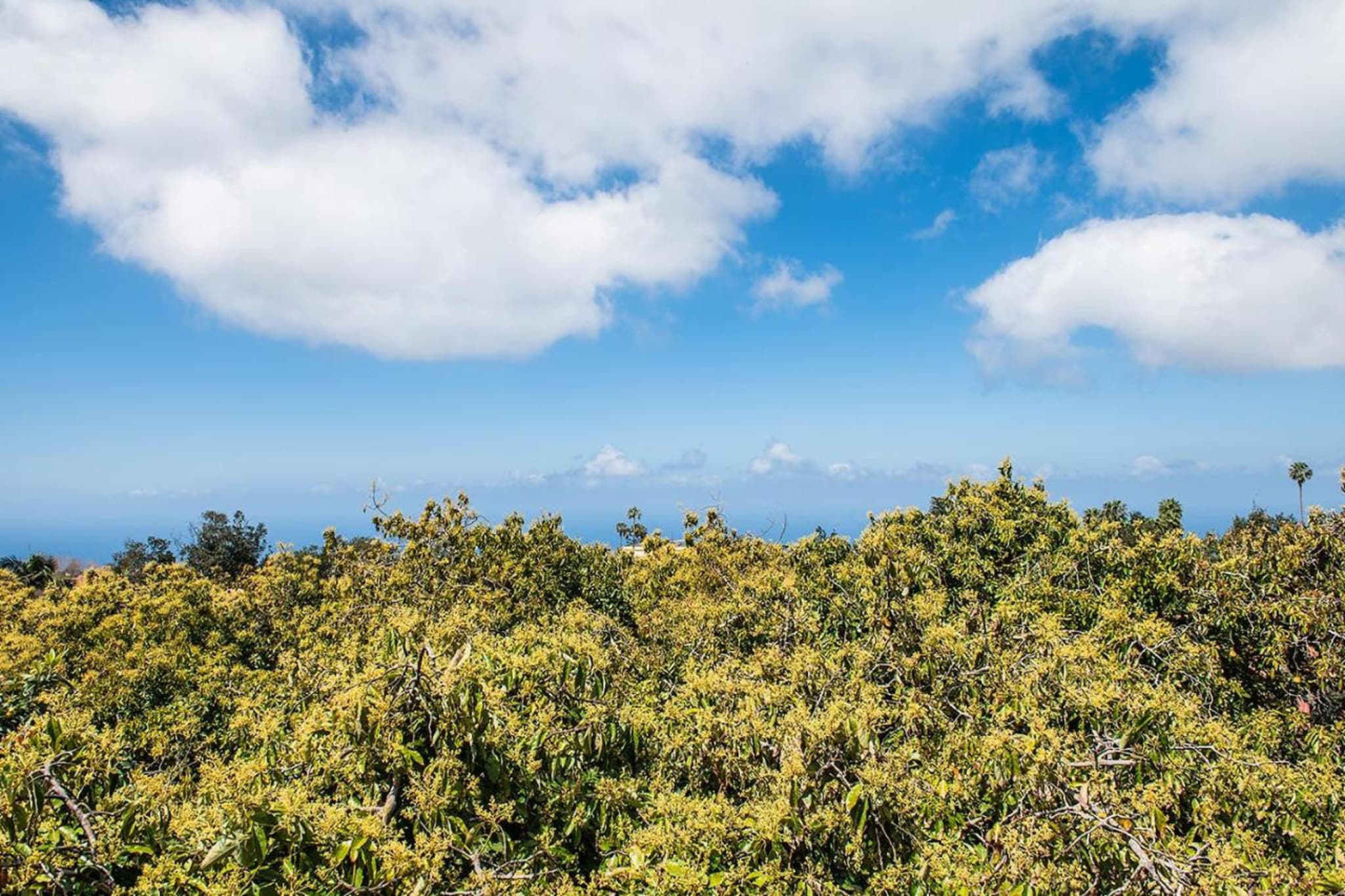 Nueva Finca Relax Mountain-Gebiete Sommer 1 km