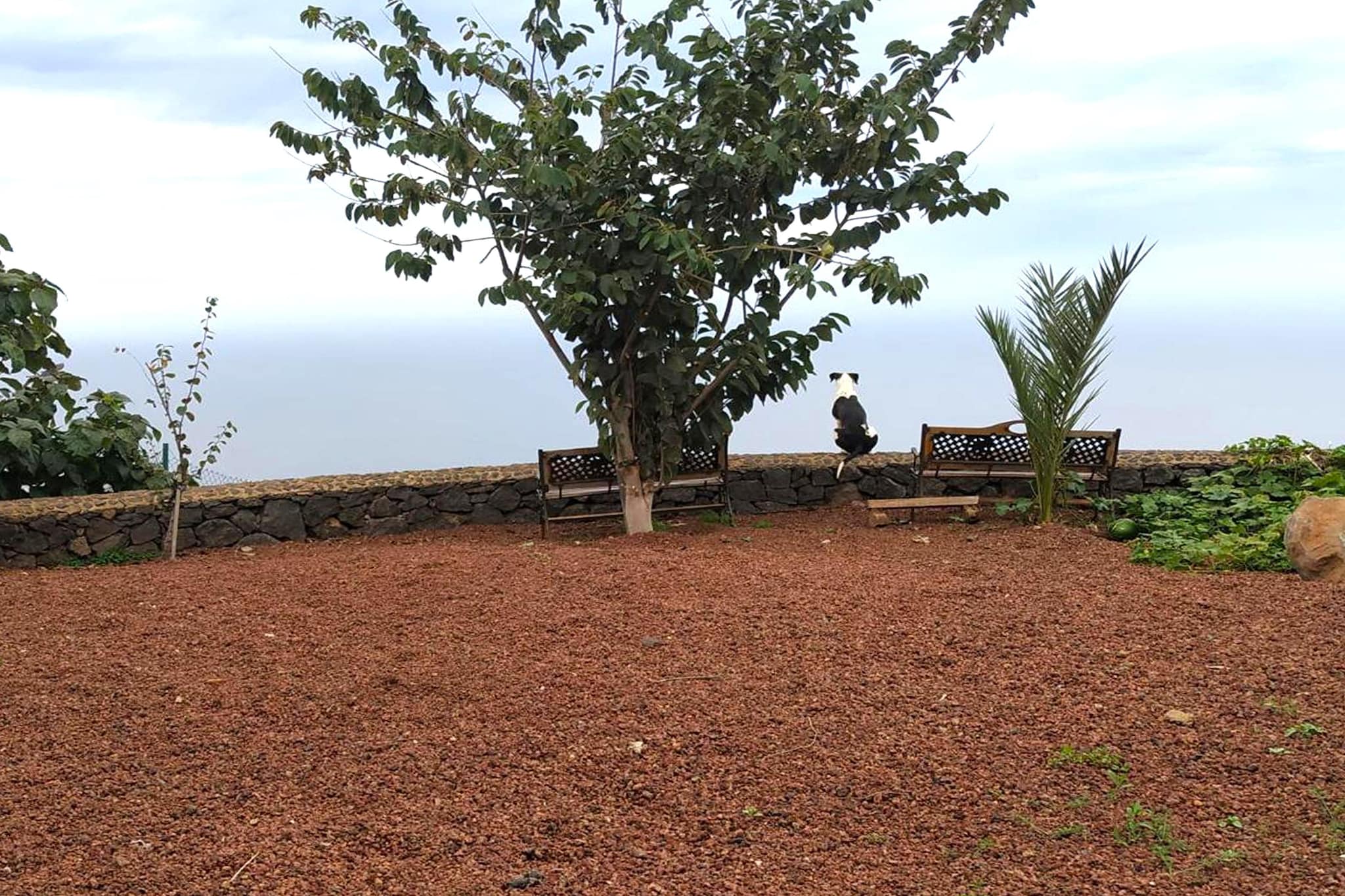 Nueva Finca Relax Mountain-Garten Sommer