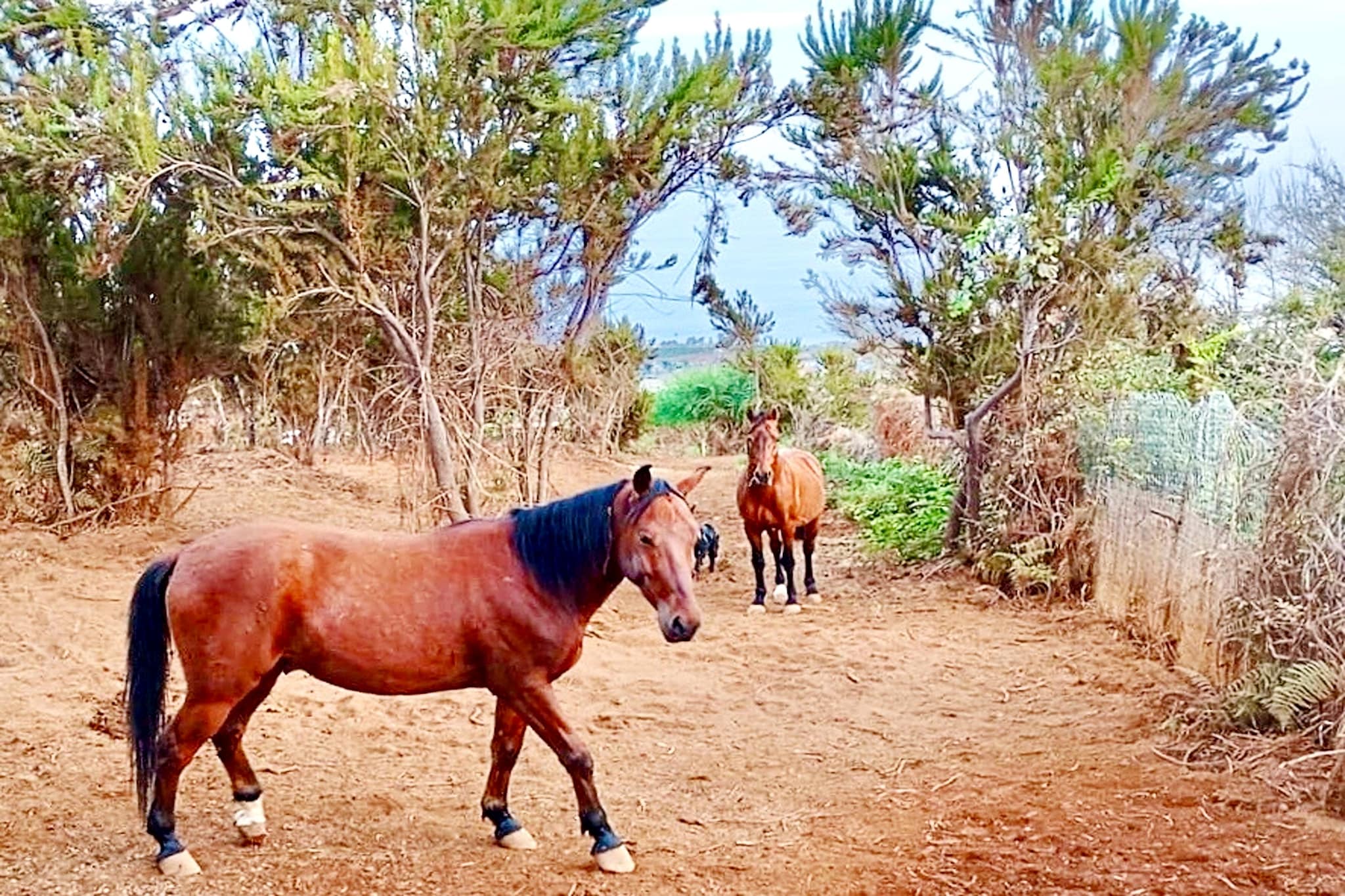 Nueva Finca Relax Mountain-Areas within 5km in summer