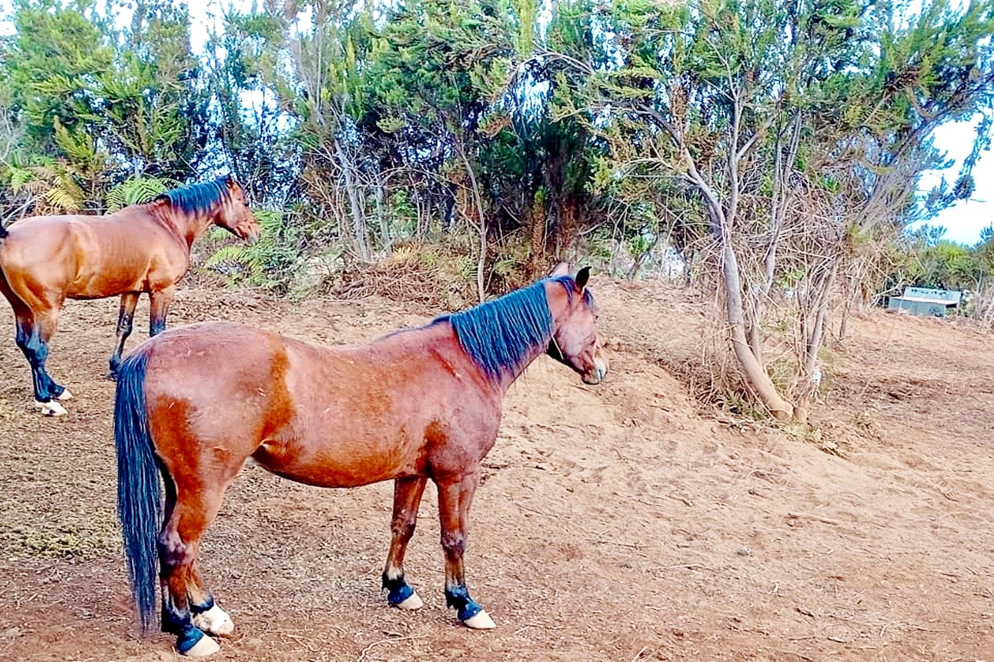 Nueva Finca Relax Mountain-Areas within 5km in summer