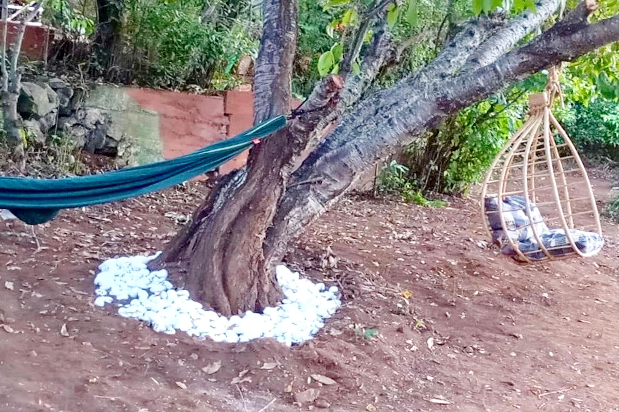 Nueva Finca Relax Mountain-Gardens in summer