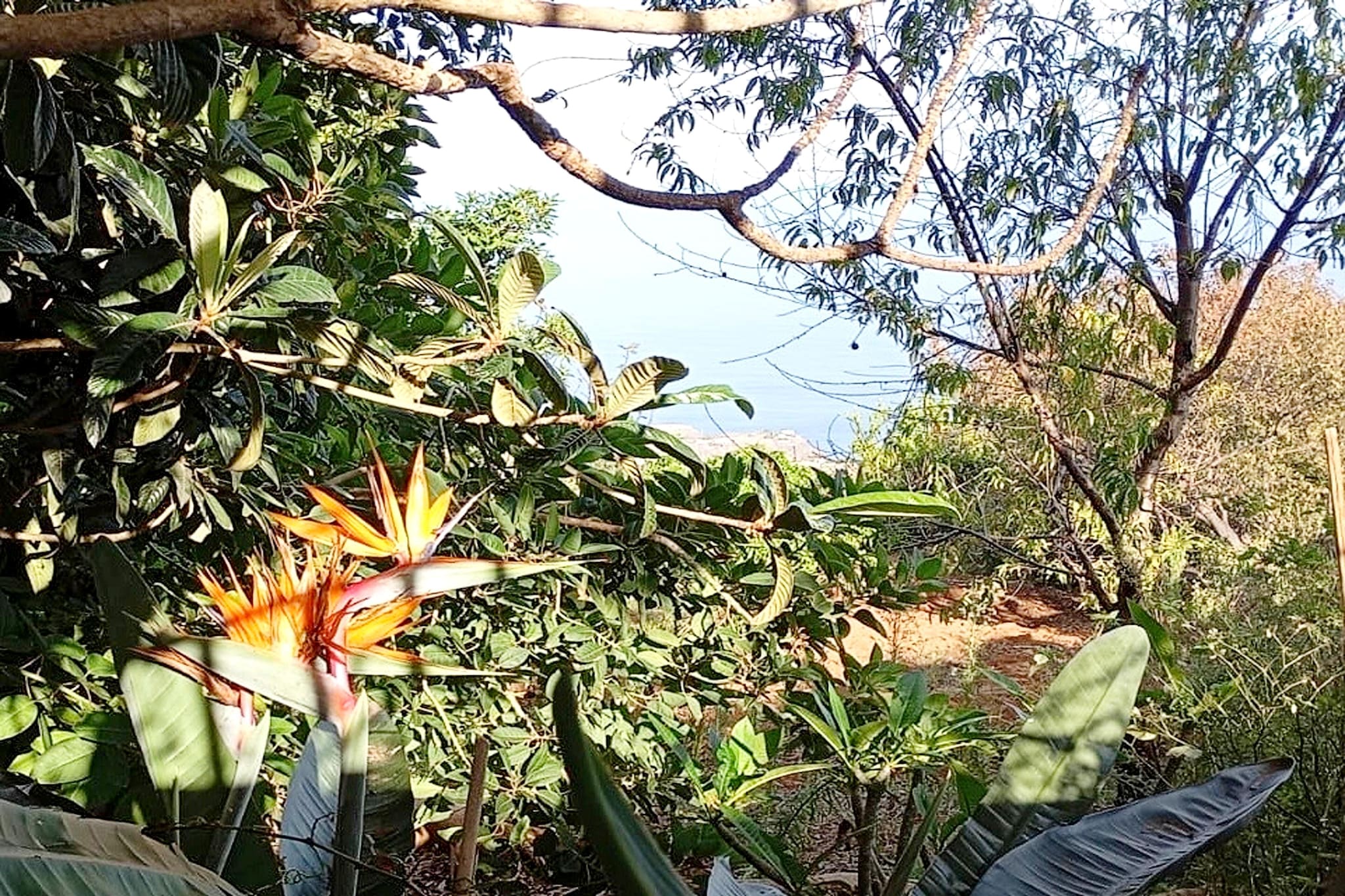 Nueva Finca Relax Mountain-Ambiance