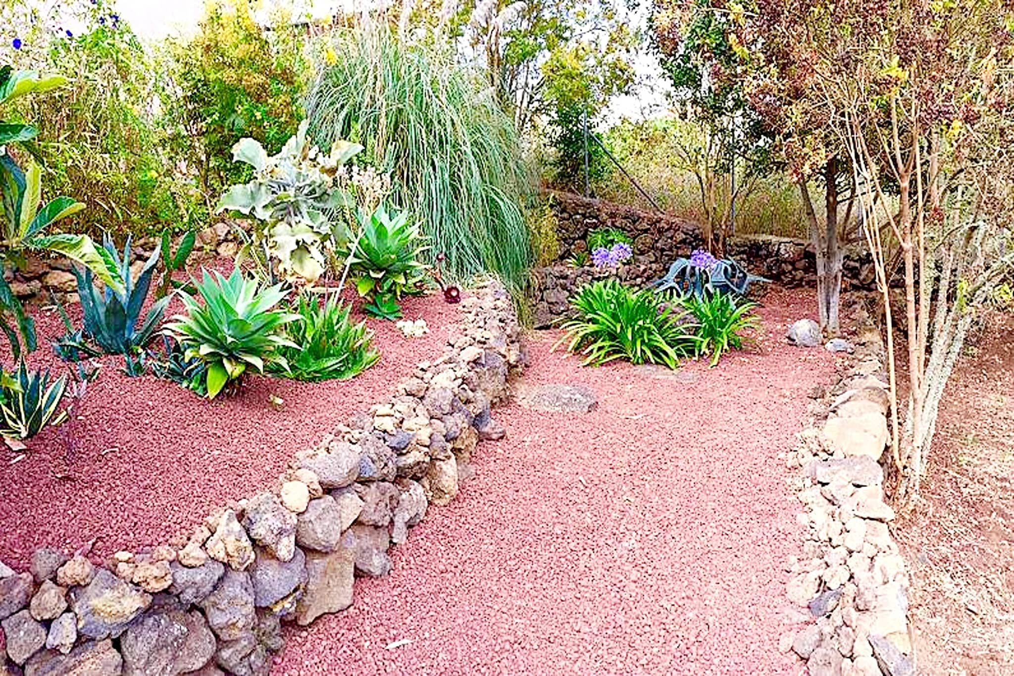 Nueva Finca Relax Mountain-Gardens in summer