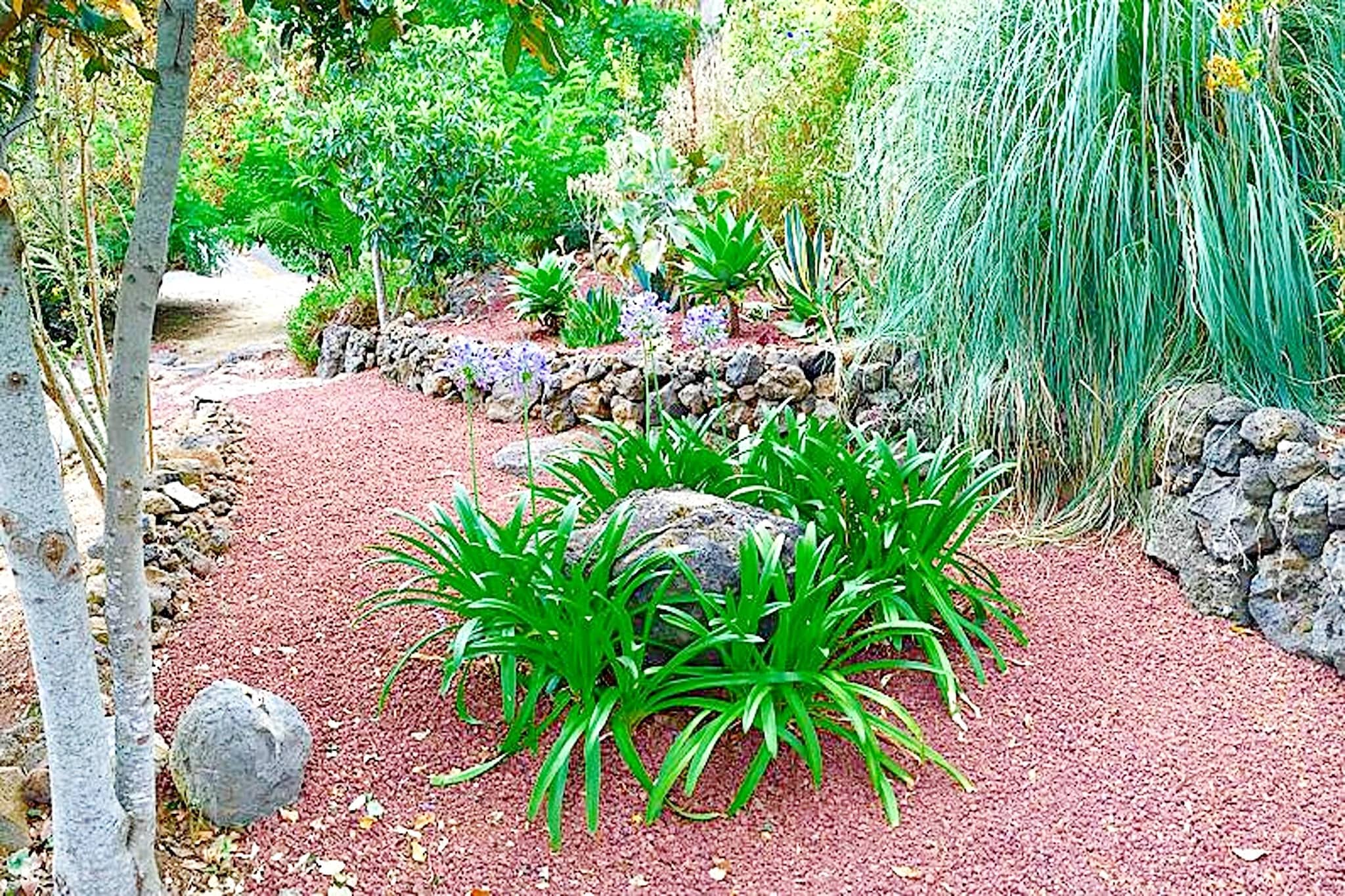 Nueva Finca Relax Mountain-Gardens in summer