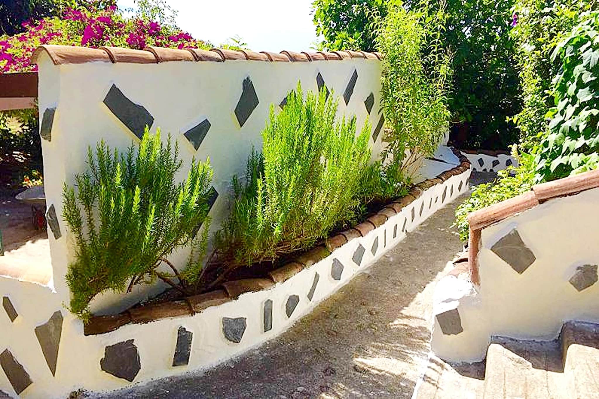 Nueva Finca Relax Mountain-Gardens in summer