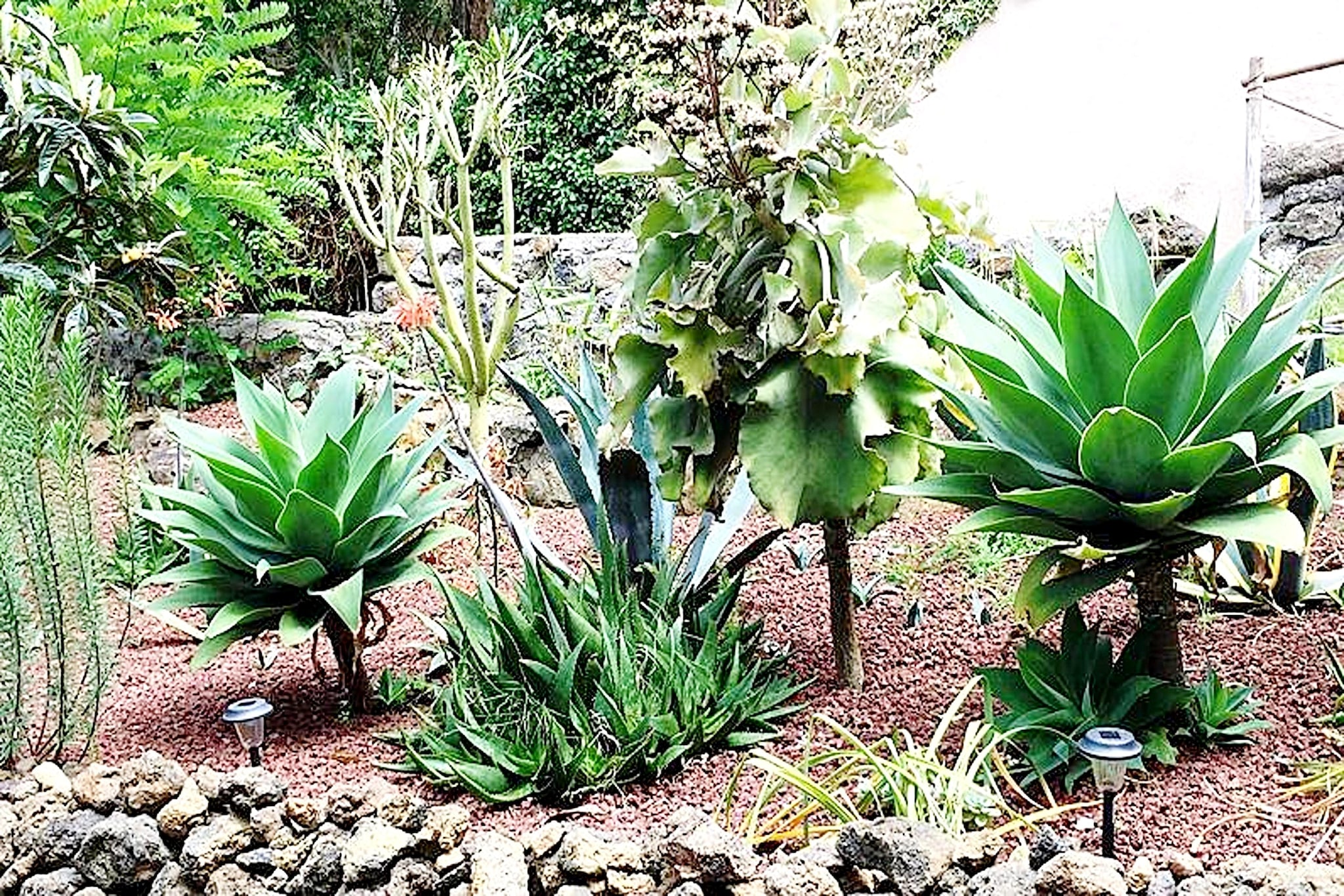 Nueva Finca Relax Mountain-Gardens in summer