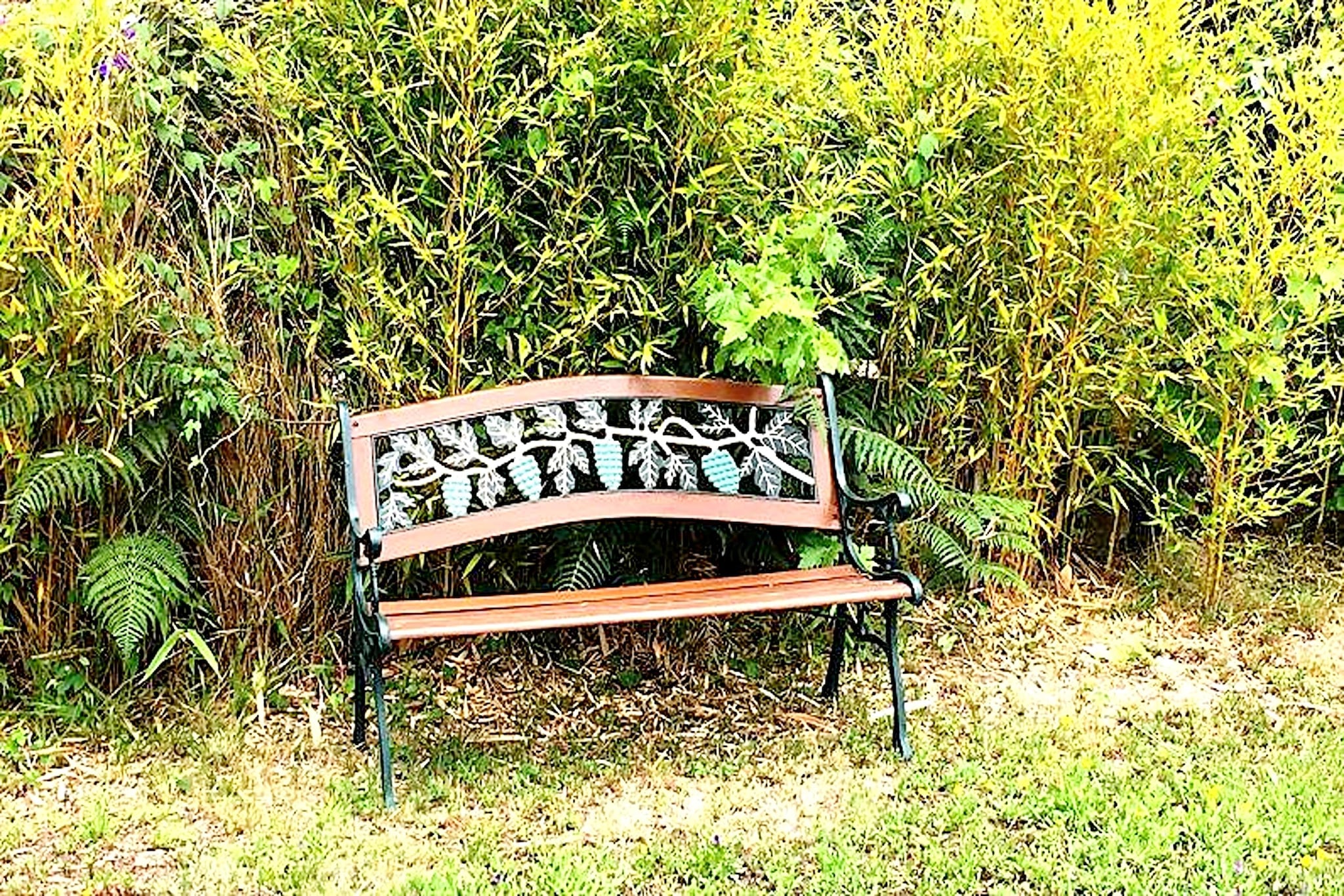 Nueva Finca Relax Mountain-Gardens in summer