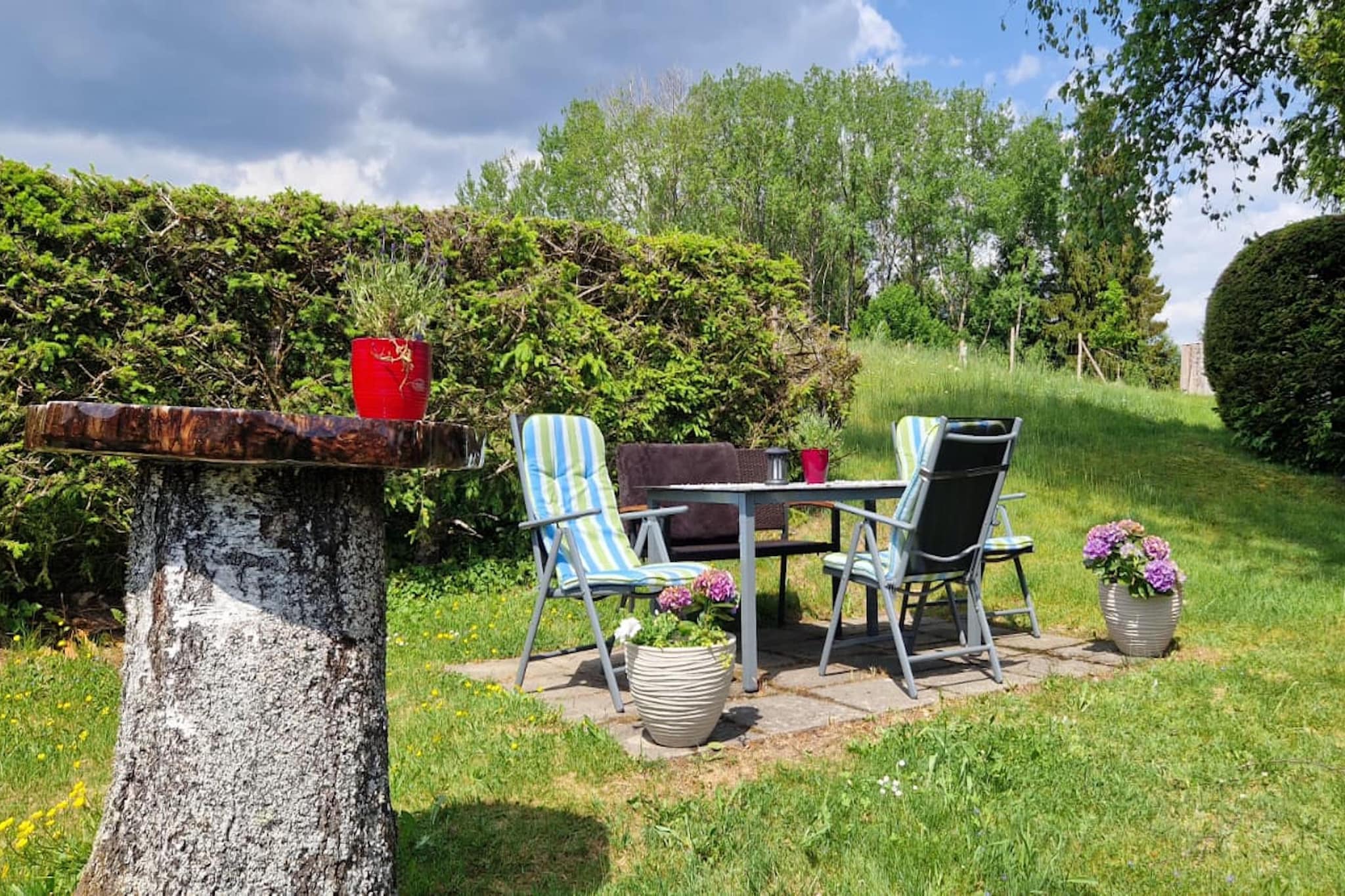 Ferienwohnung Herrischried an der Skipiste Yeskov - Tuinen zomer
