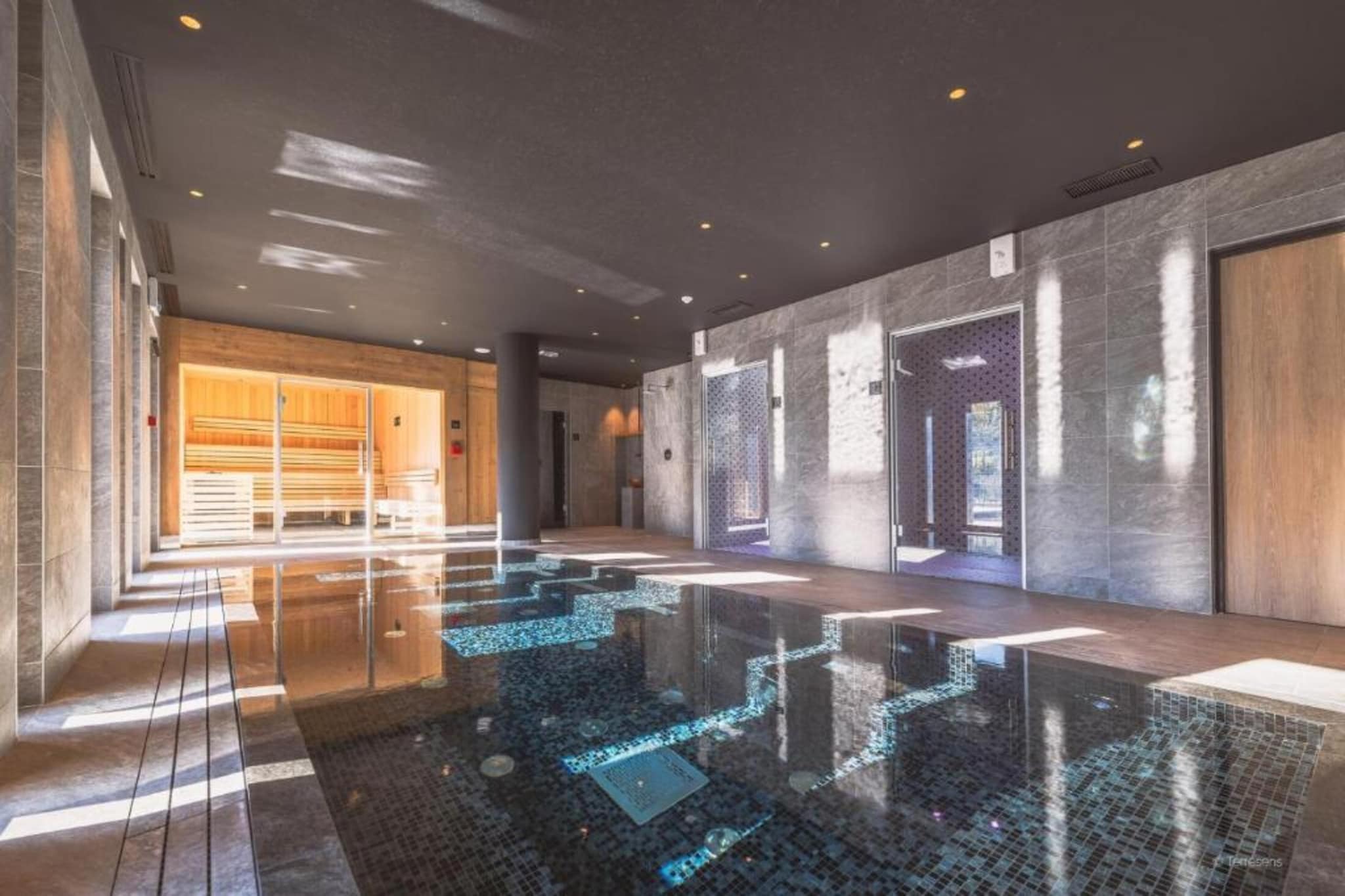 Apartment with Mont Blanc View & Spa