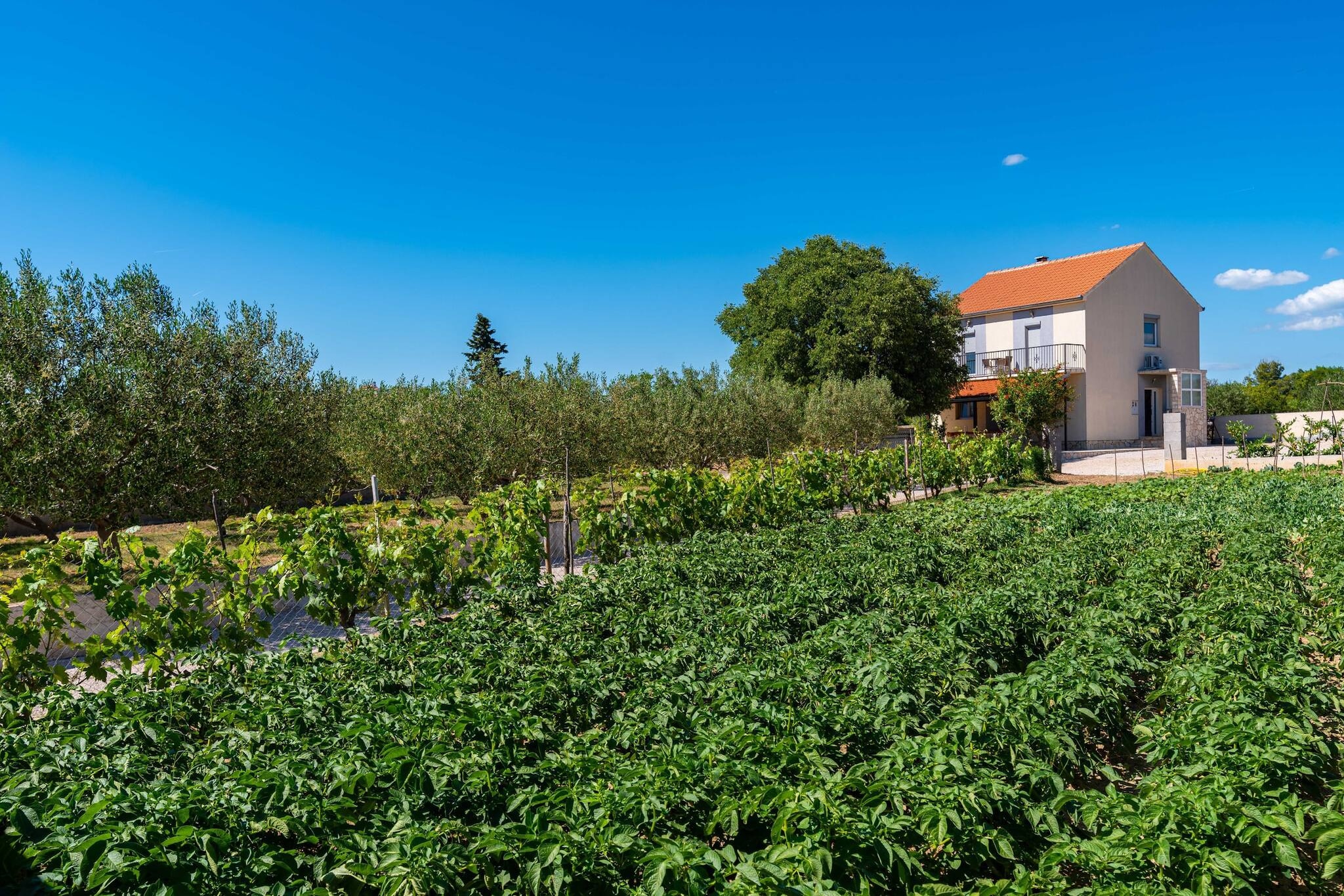 Holiday home Maria-Niet-getagd