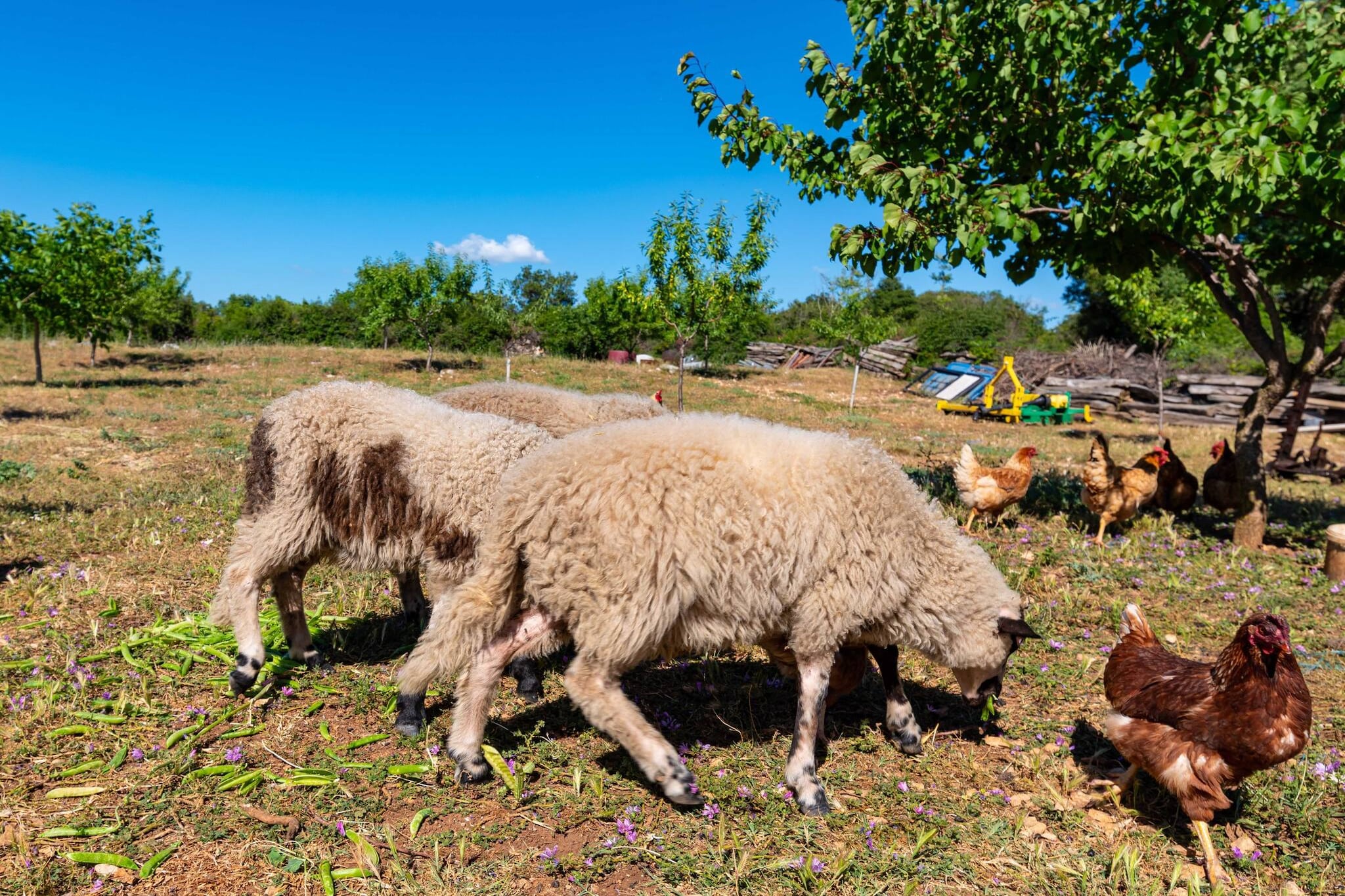 Holiday home Maria-Niet-getagd