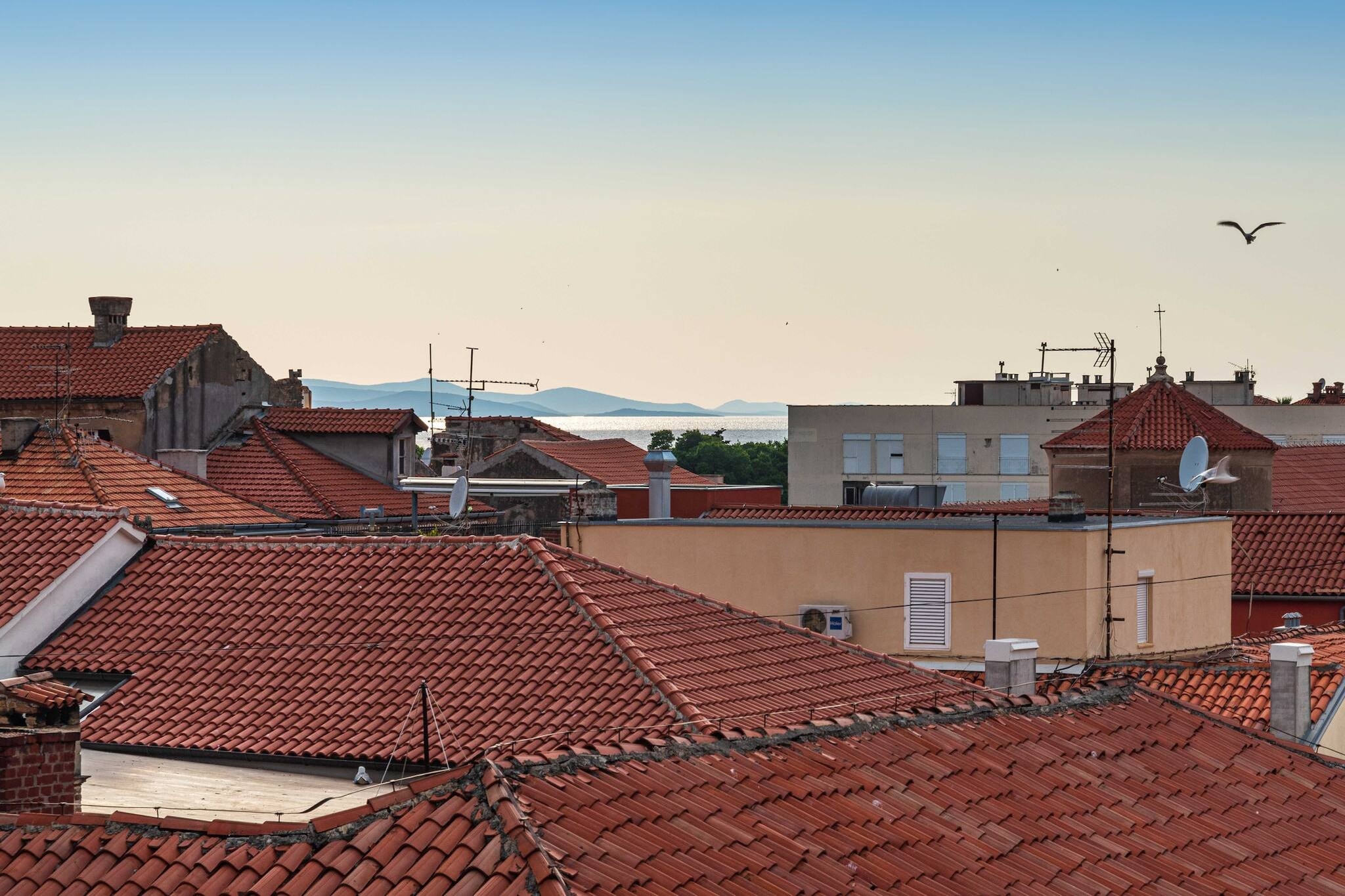 The apartment in Zadar has 2 bedrooms and capacity for 4 persons. Accommodation of 75 m². The property is located 20 m the restaurant, 20 m coffee shop, 150 m supermarket, 200 m bus station "Inner city bus station", 1 km hospital "Zadar hospital", 2 km bus station "Zadar main bus station", 2 km rock beach "Kolovare beach", 5 km sand beach "Borik sandy beach", 11 km international airport "Zadar international Airport", 33 km nature reserve "National Park Kornati", 38 km nature reserve "Nature Park Vrana Lakes", 80 km nature reserve "National Park Krka", 140 km nature reserve "National Park Plitvice Lakes" and it is located in a a residential zone and in the center of the city. The accommodation is equipped with the following items: outdoor furniture, washing machine, iron, internet (Wi-Fi), hair dryer, balcony, air conditioning throughout the house, 3 electric anti-mosquito devices, mosquito nets throughout the accommodation, 1 TV, satellite tv (Languages: English). The independent kitchen, of induction, is equipped with refrigerator, microwave, oven, freezer, dishwasher, dishes/cutlery, kitchen utensils, coffee machine, toaster, kettle, juicer and stove.