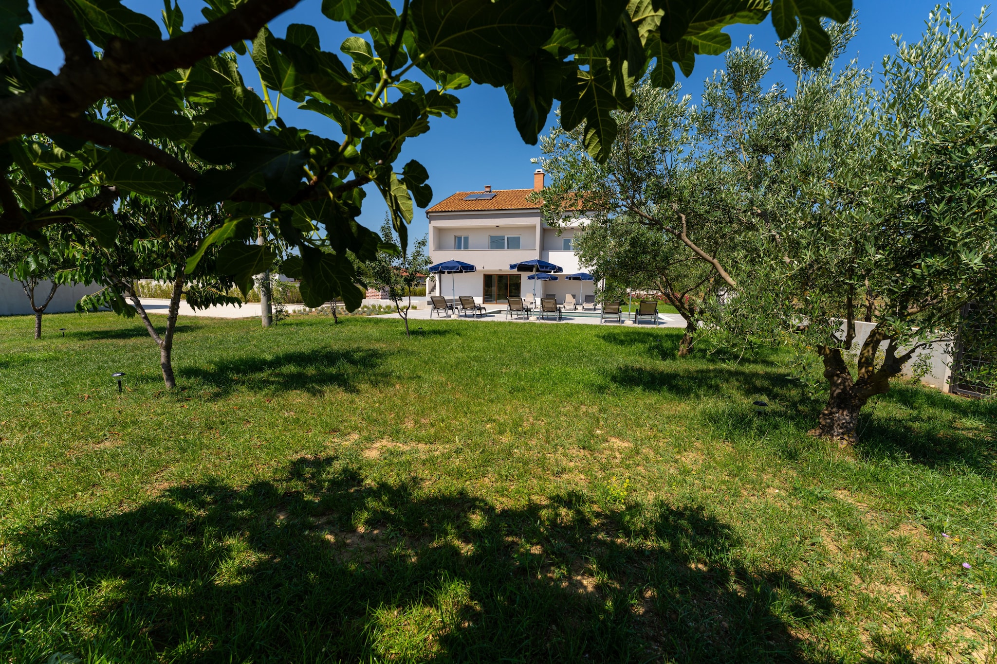 Villa Campi Dalmatia-Tuinen zomer