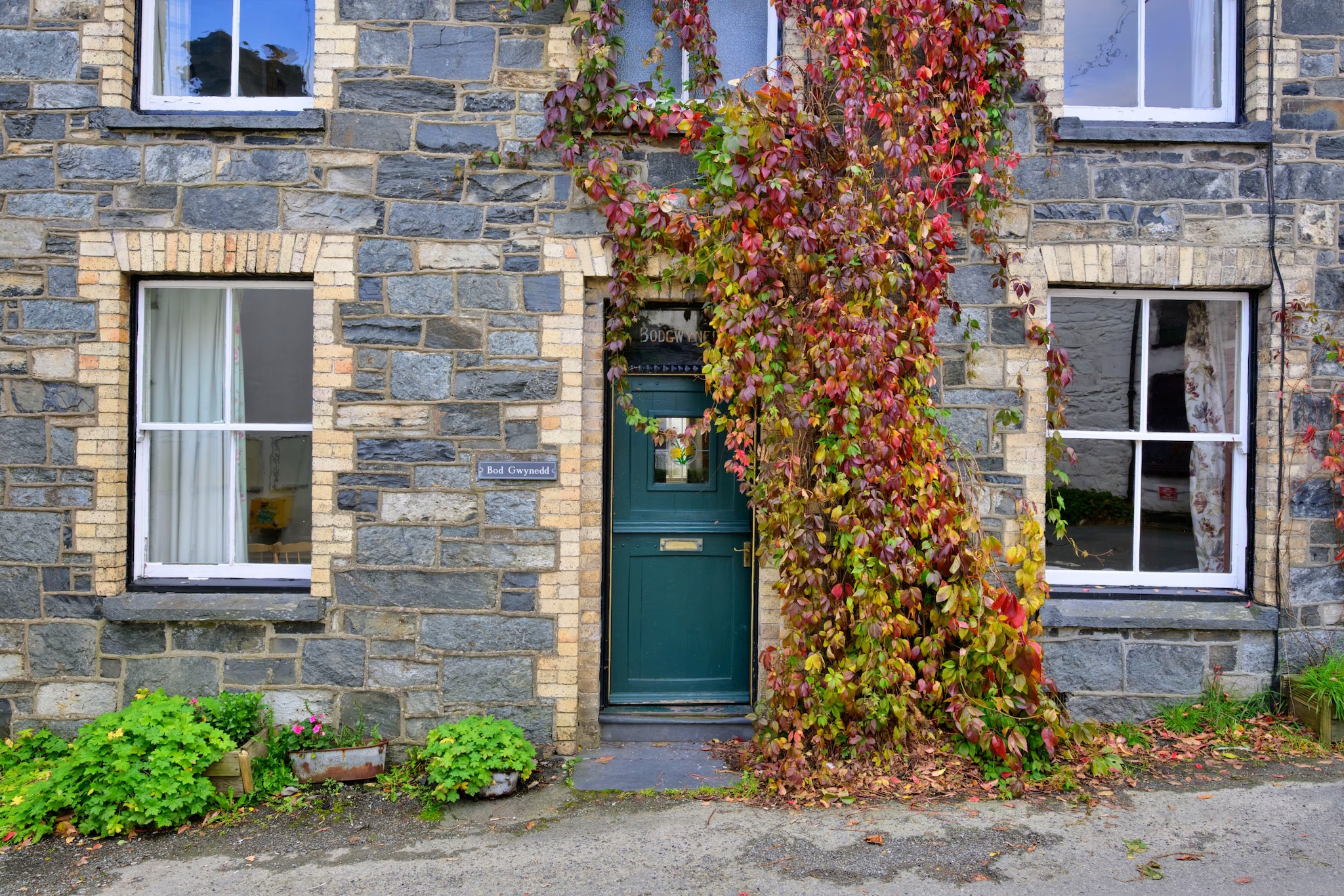 Bod Gwynedd - Exterior in summer