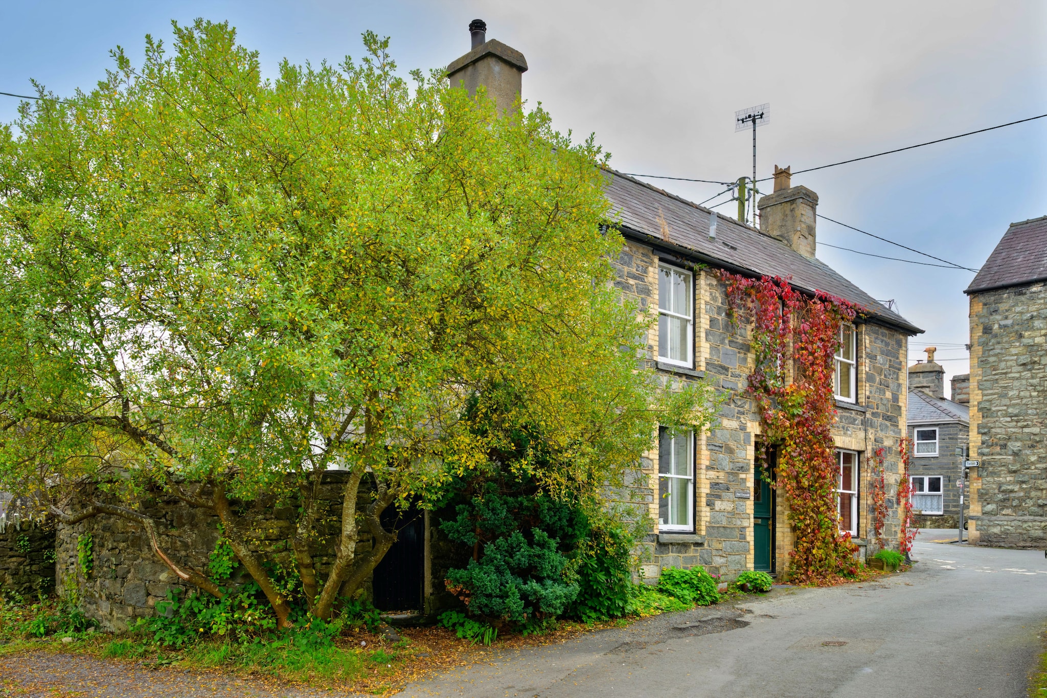 Bod Gwynedd - Exterior in summer