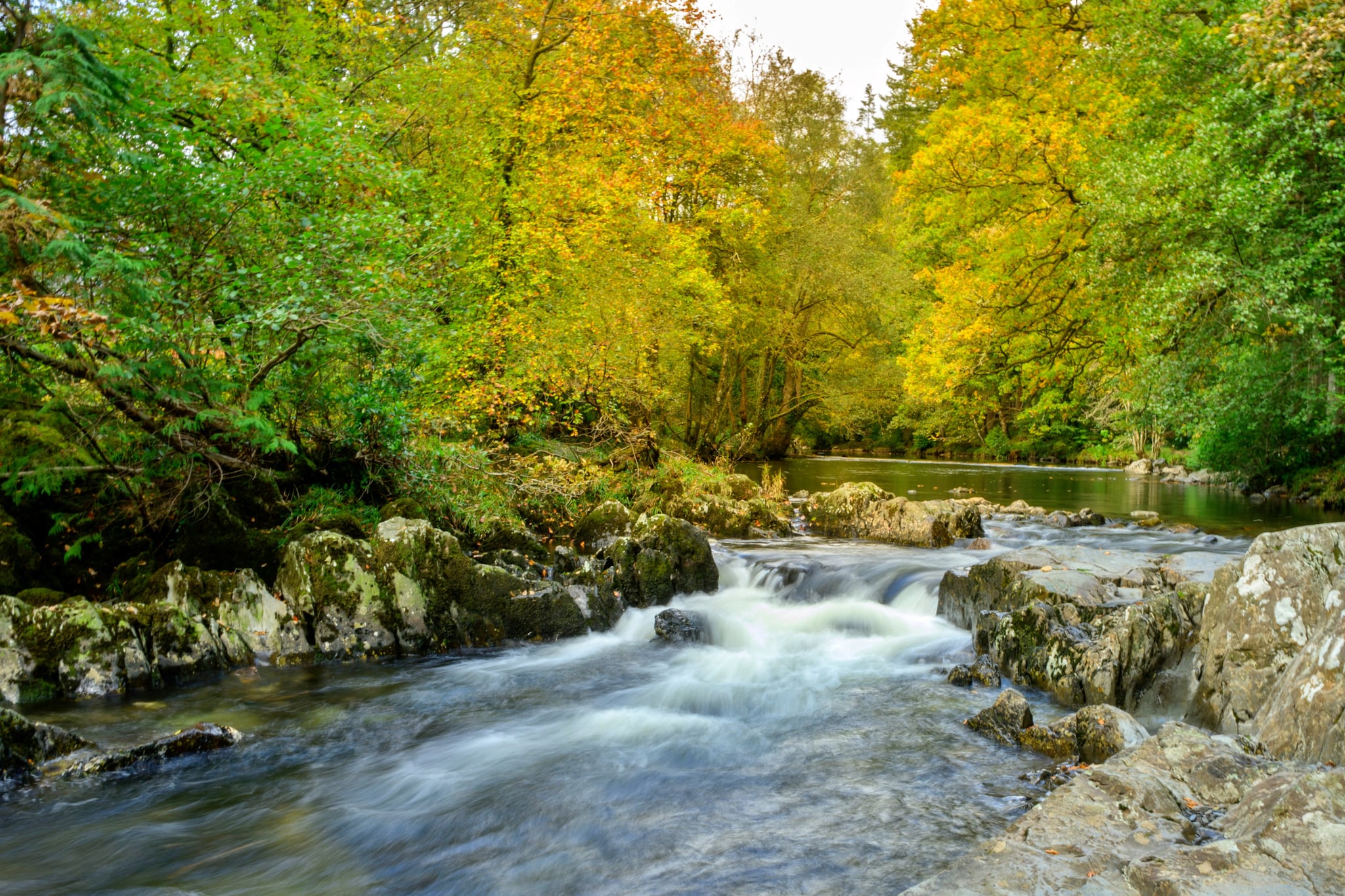 Bod Gwynedd - Areas within 5km in summer