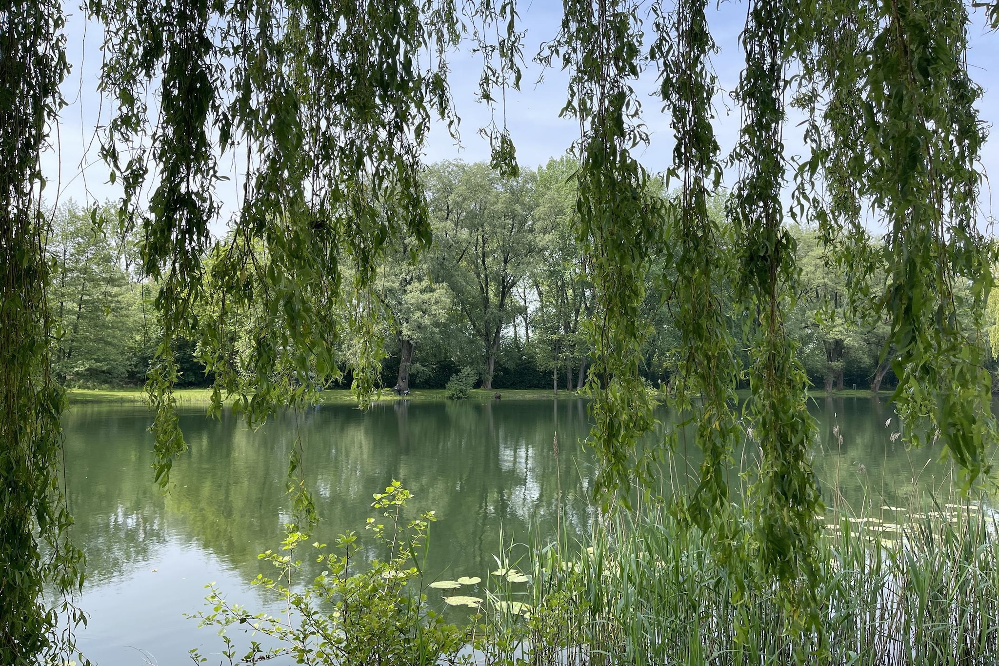 Guelders