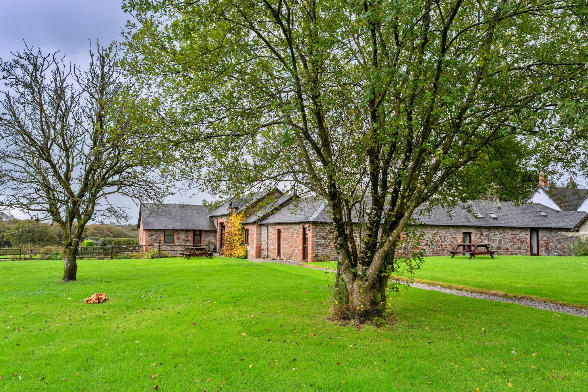 Warren Cottage, Stowford - Tuinen zomer