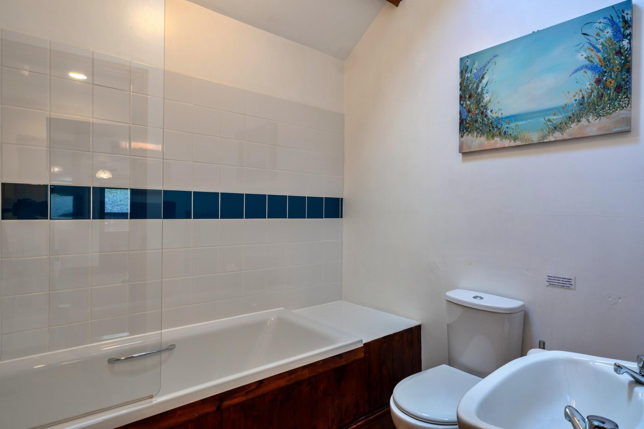 Tarquol Cottage, Stowford - Badkamer