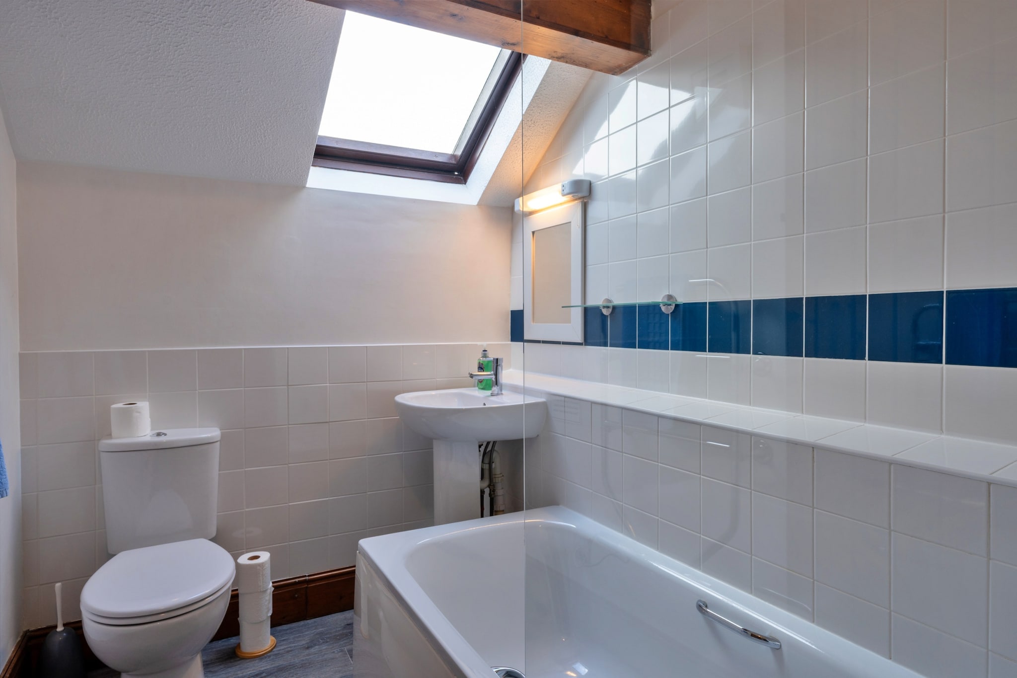 Old Nog Cottage, Stowford - Badkamer