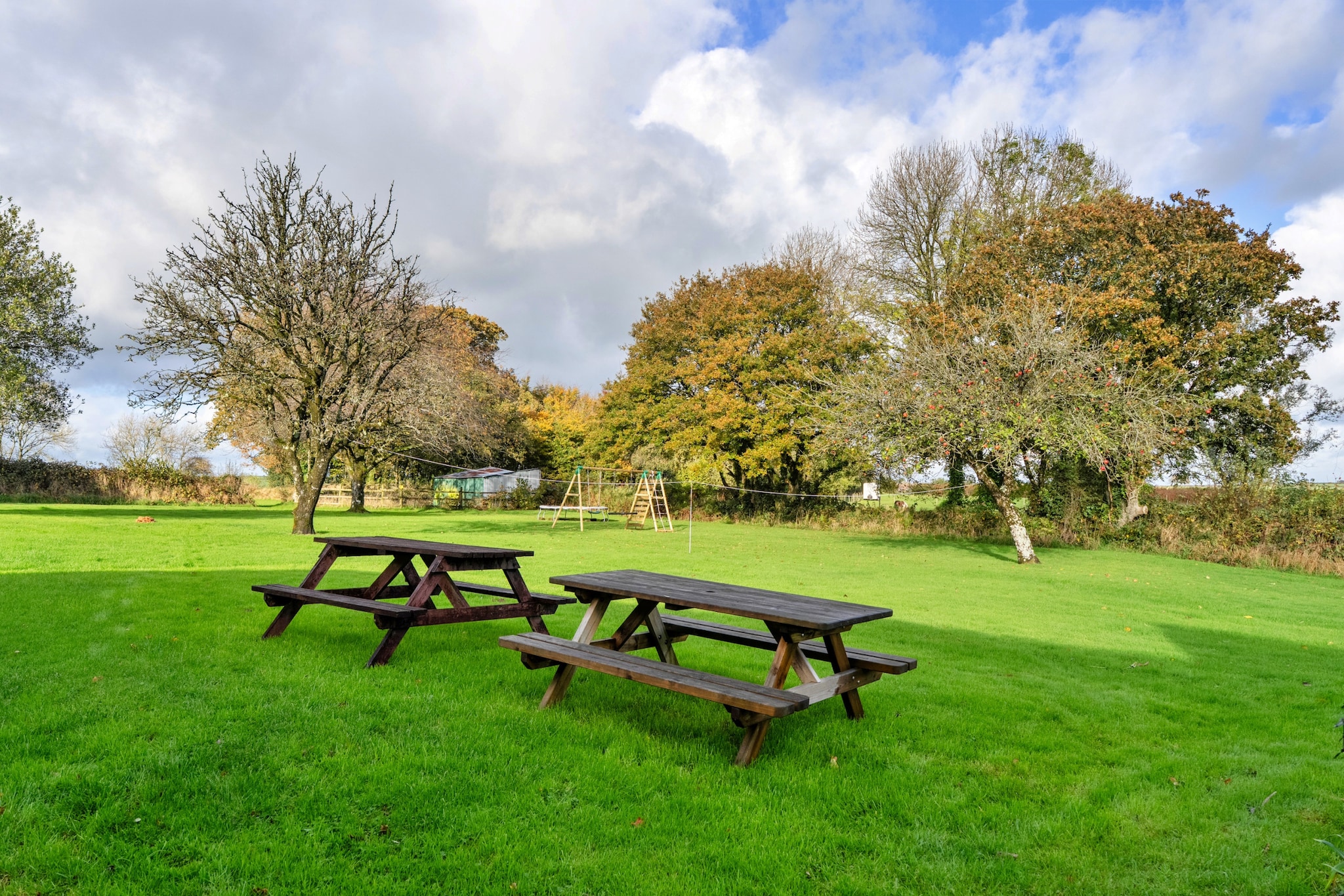 Old Nog Cottage, Stowford - Tuinen zomer