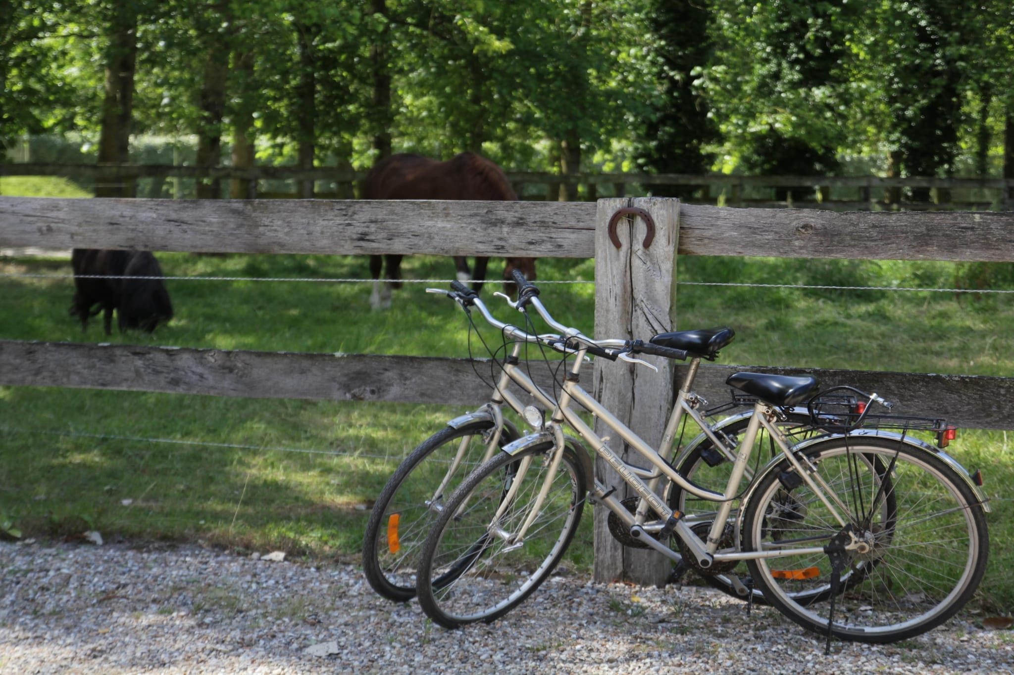Chalet 3 - Gebieden zomer 1km
