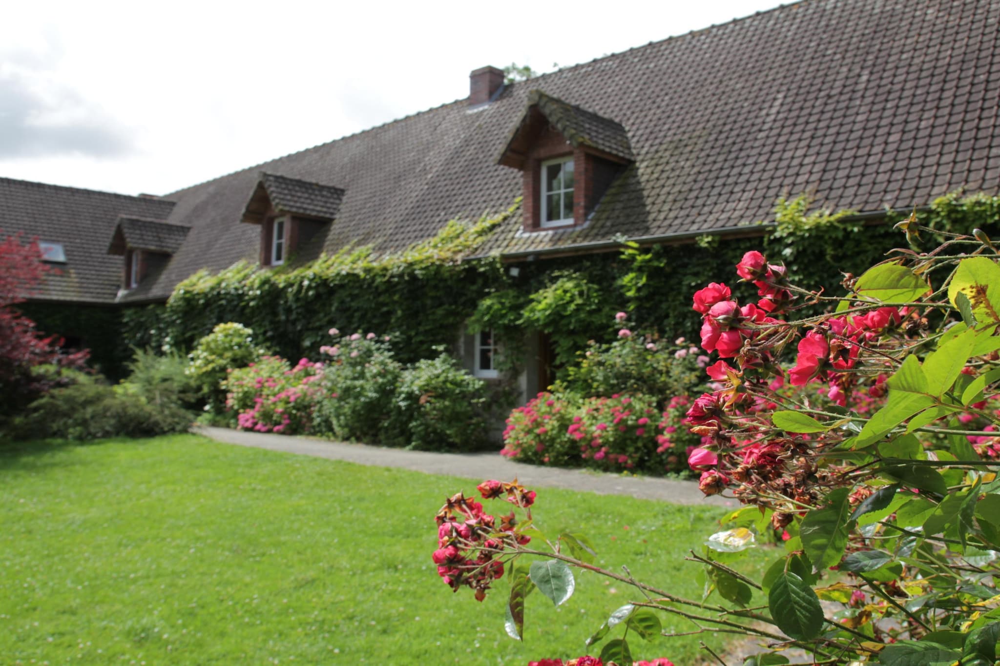Chalet 3 - Buitenkant zomer