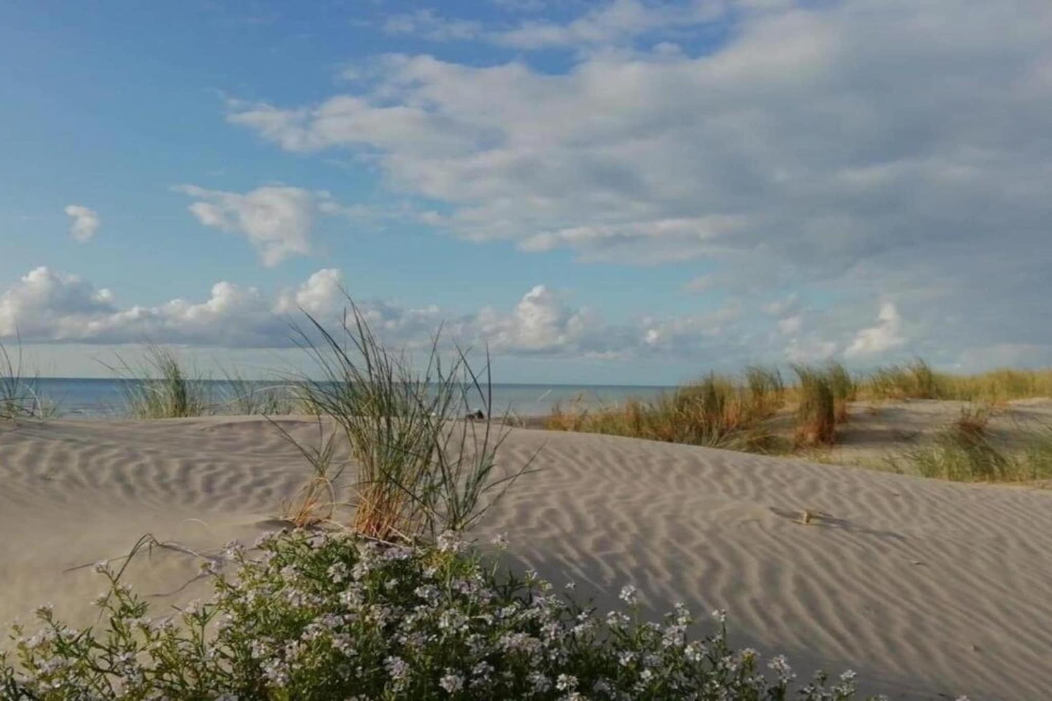 Chalet 3 - Gebieden zomer 5km
