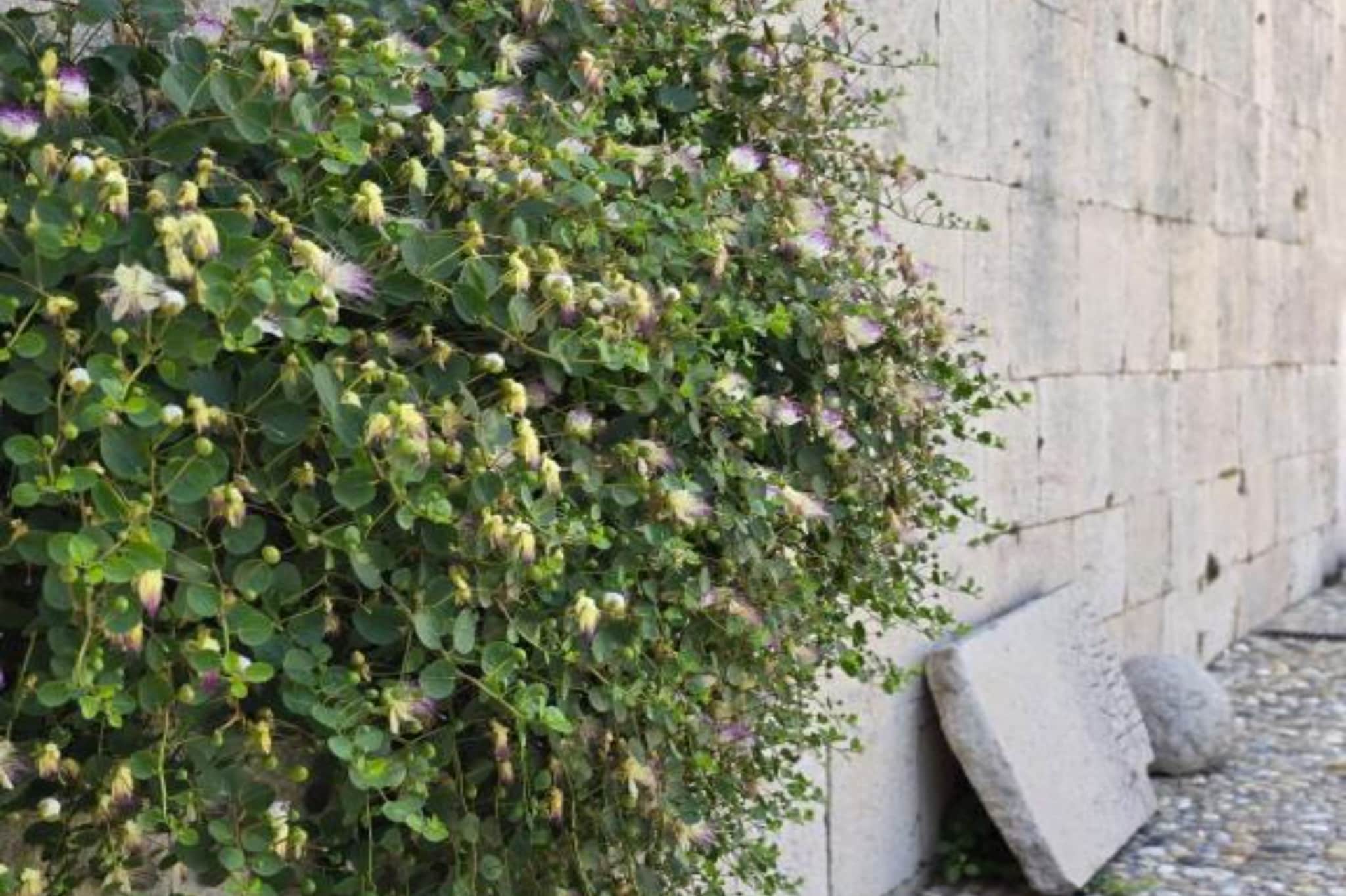 Historic Han Hideaway  Twin Room-Niet-getagd