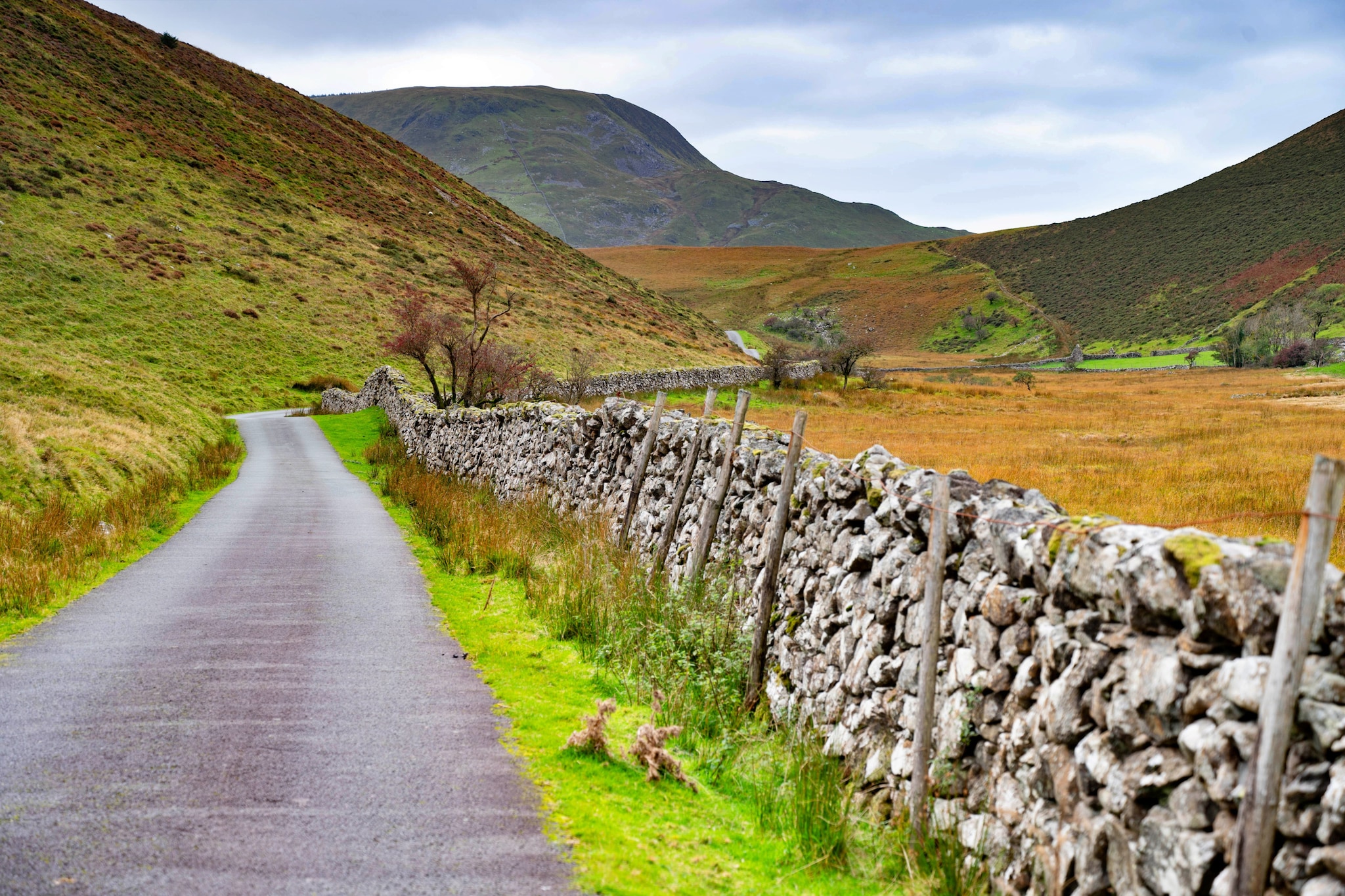 Pandy Farmhouse - Areas within 5km in summer