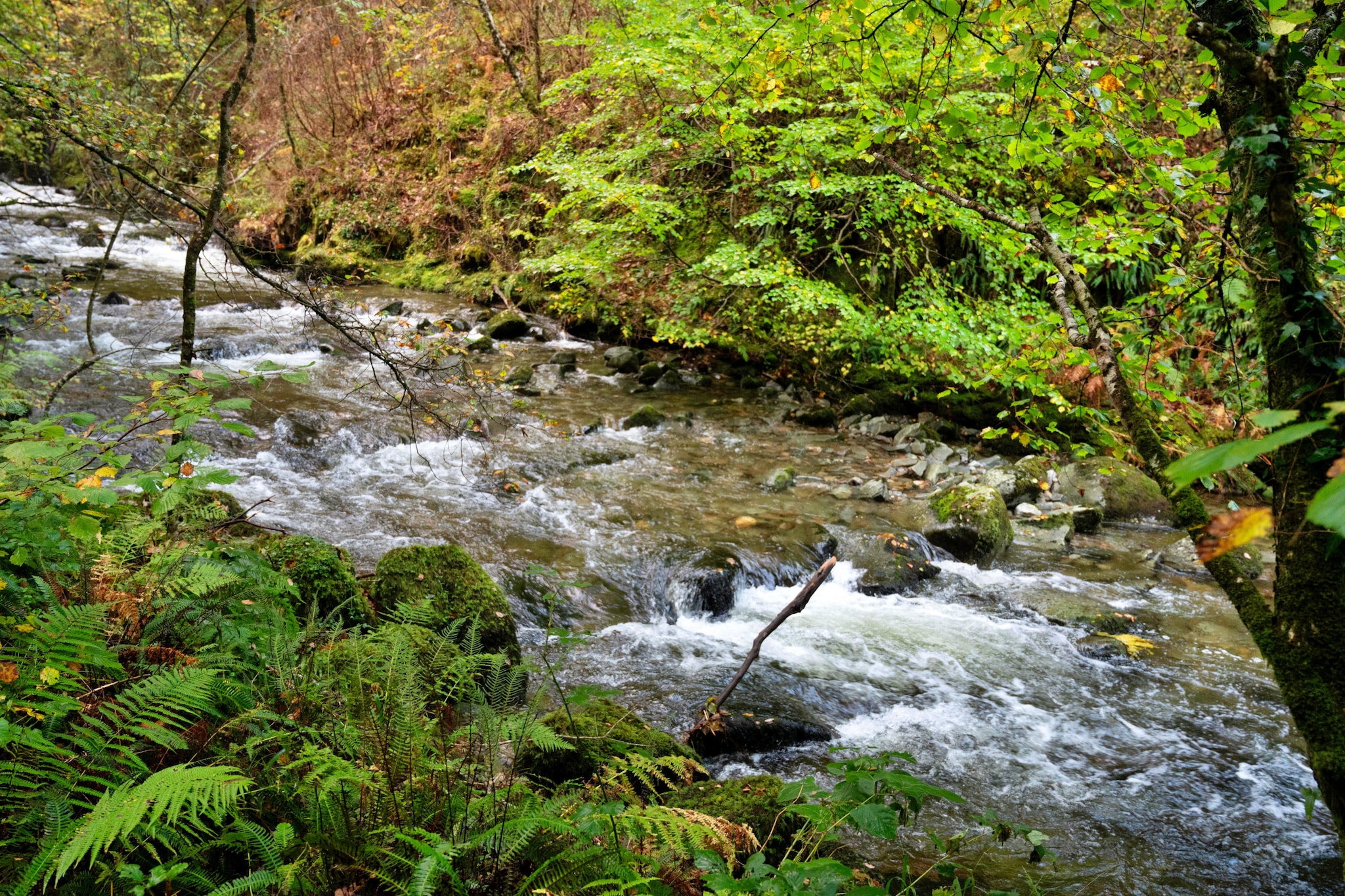 Waen Fechan - Areas within 5km in summer