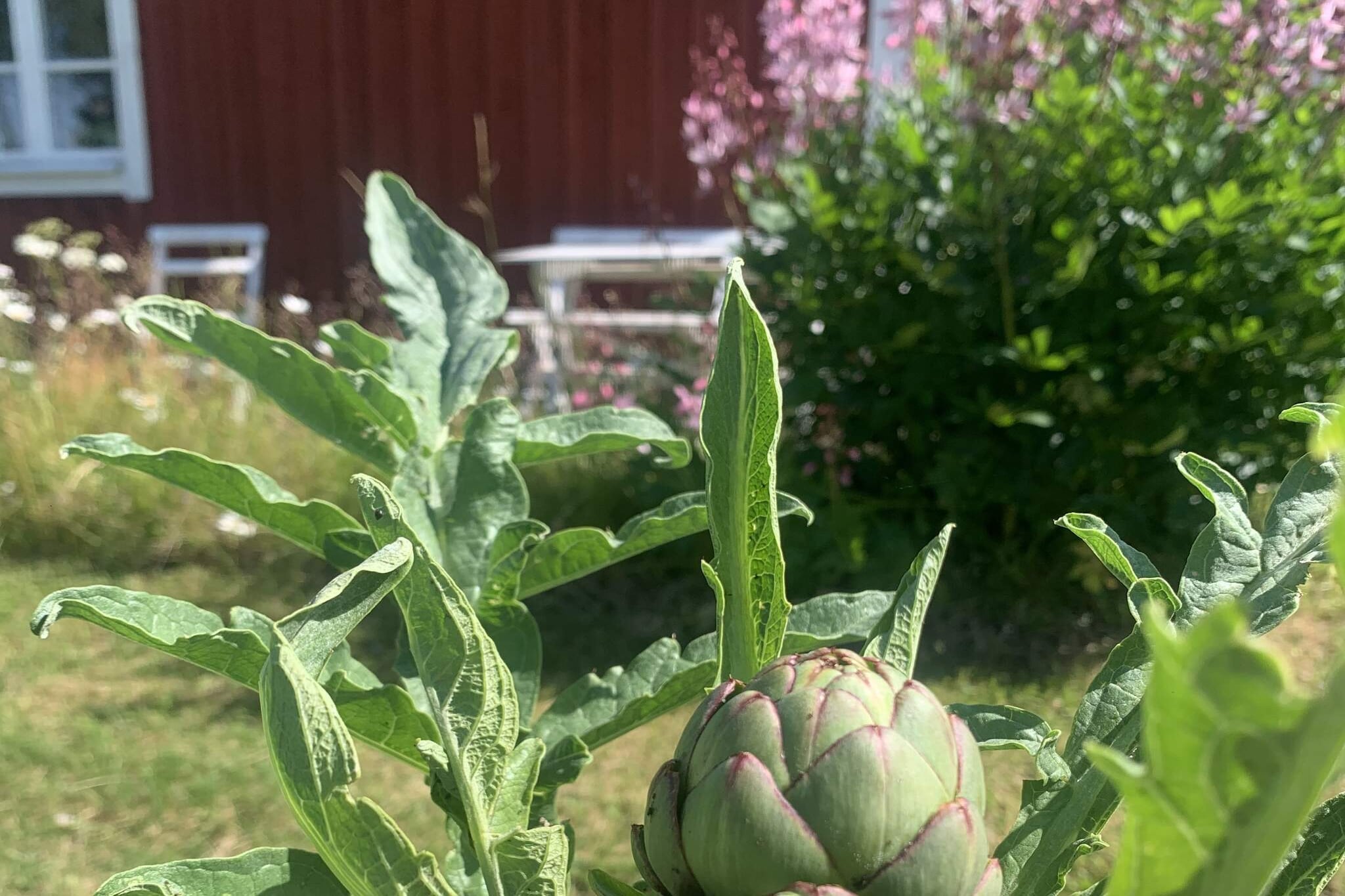 5 Personen vakantie huis in FLISBY-Buitenlucht