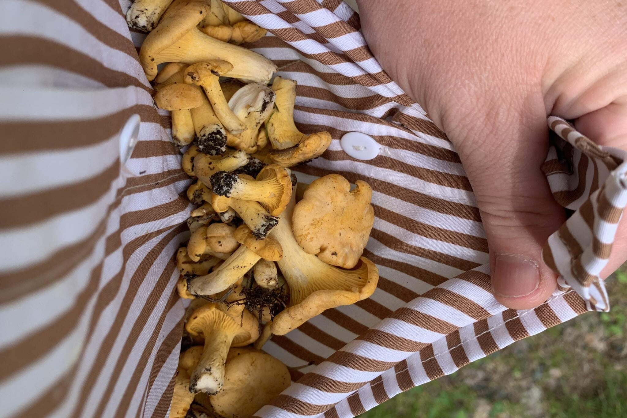 5 Personen vakantie huis in FLISBY-Niet-getagd