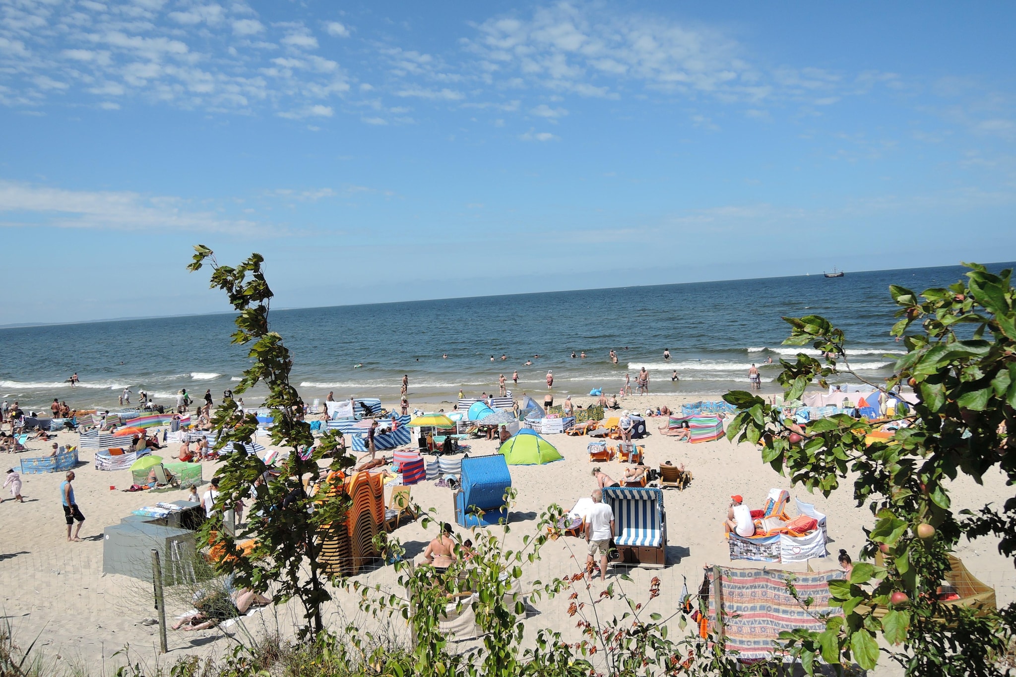 Green Hill Domysłów-Gebieden zomer 5km