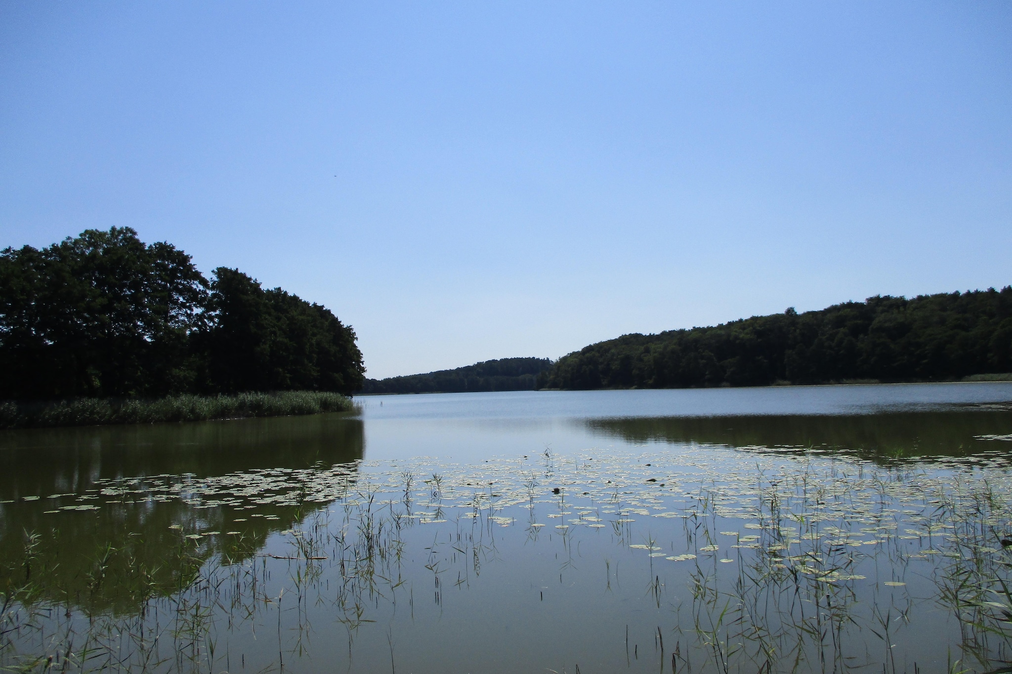 Green Hill Domysłów-Gebieden zomer 1km