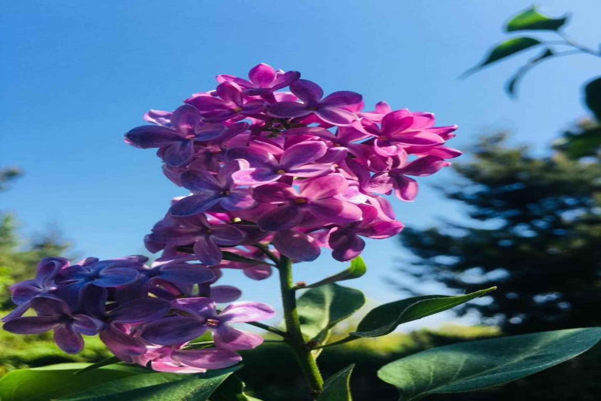 Hausboot in Zehdenick-Gebieden zomer 20km