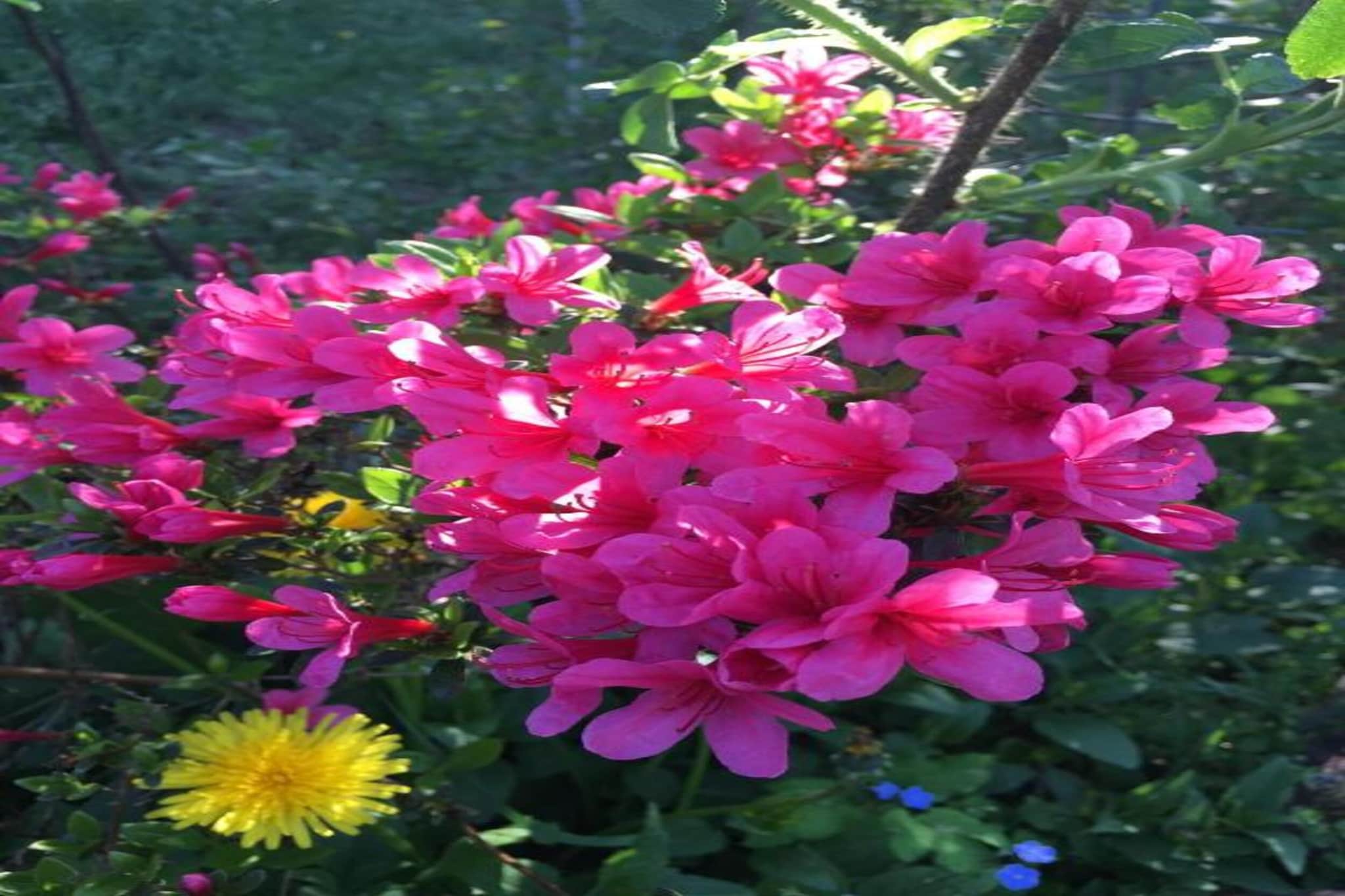 Hausboot in Zehdenick-Gebieden zomer 20km