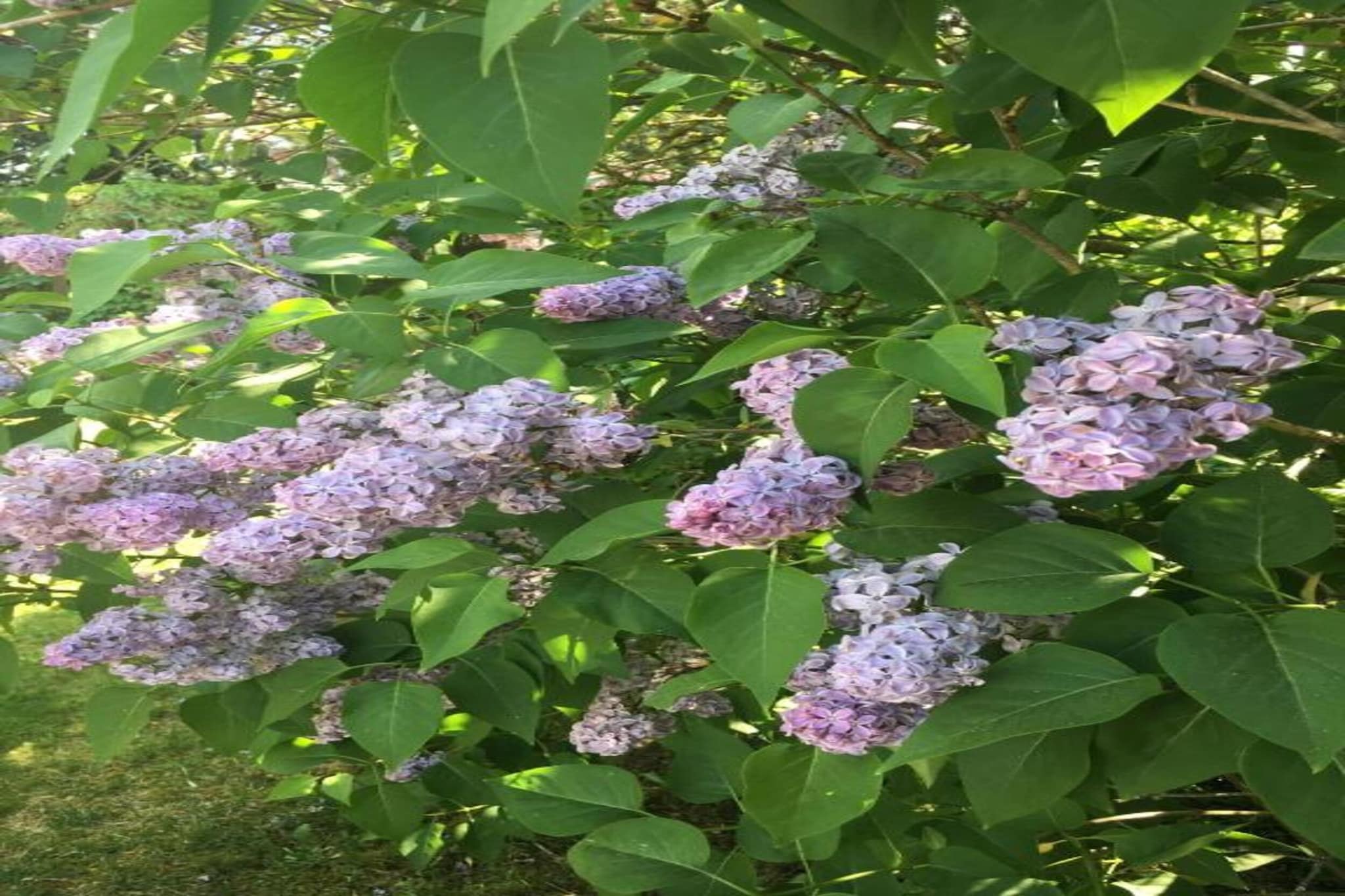 Hausboot in Zehdenick-Gebieden zomer 20km