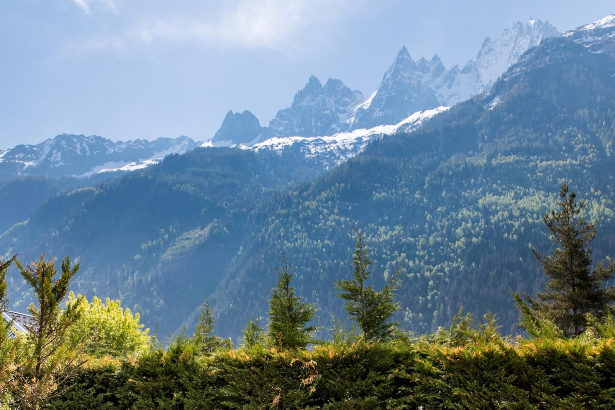 Floria-Uitzicht zomer
