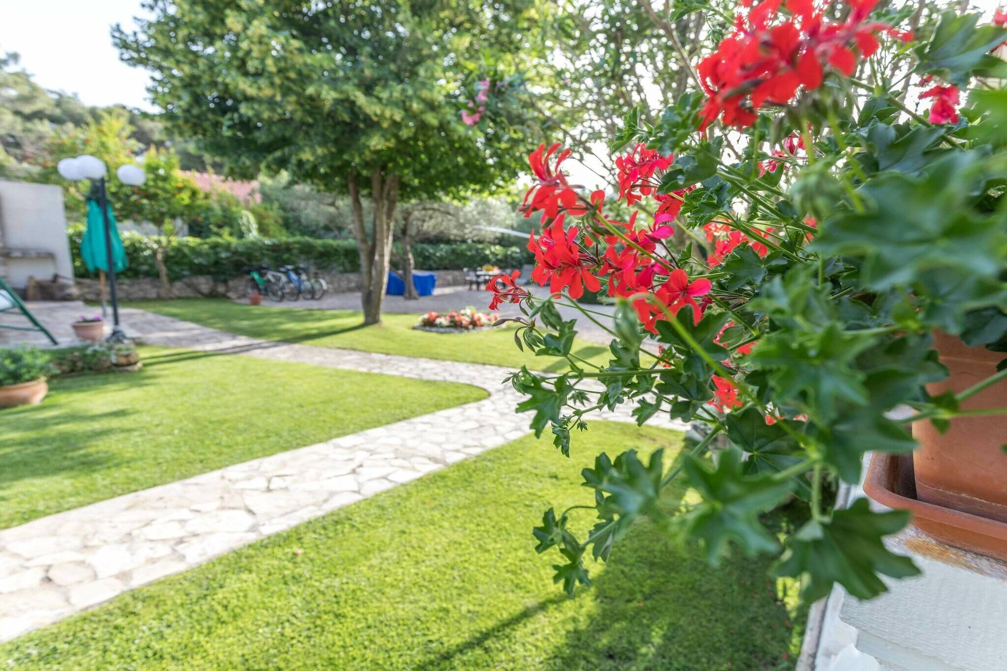 Beach apartment Jadrija-Ambiance