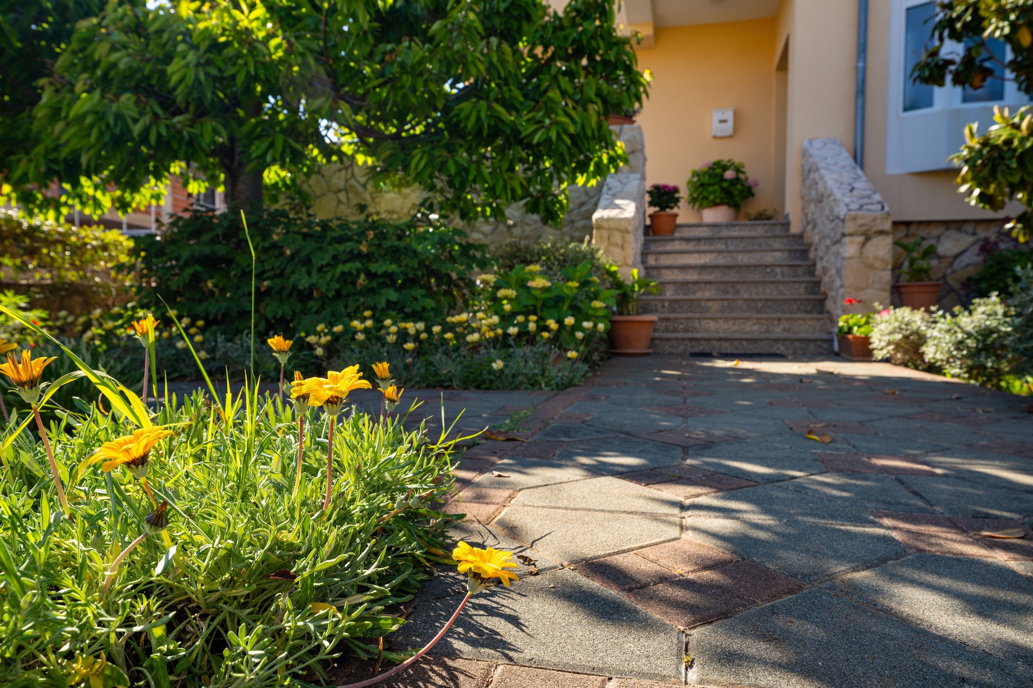 Beach house Privlaka-Jardins en été