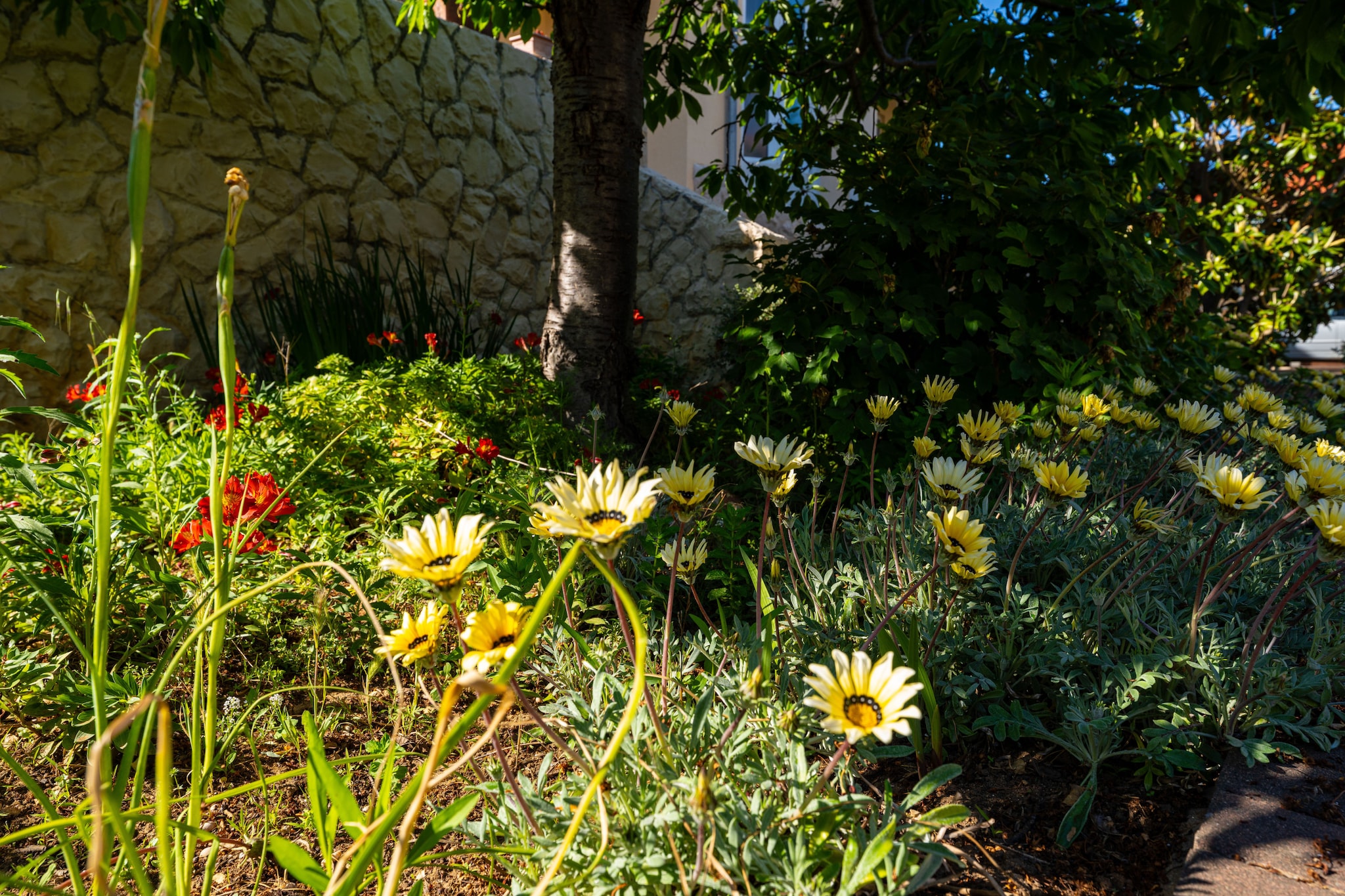 Beach house Privlaka-Jardins en été